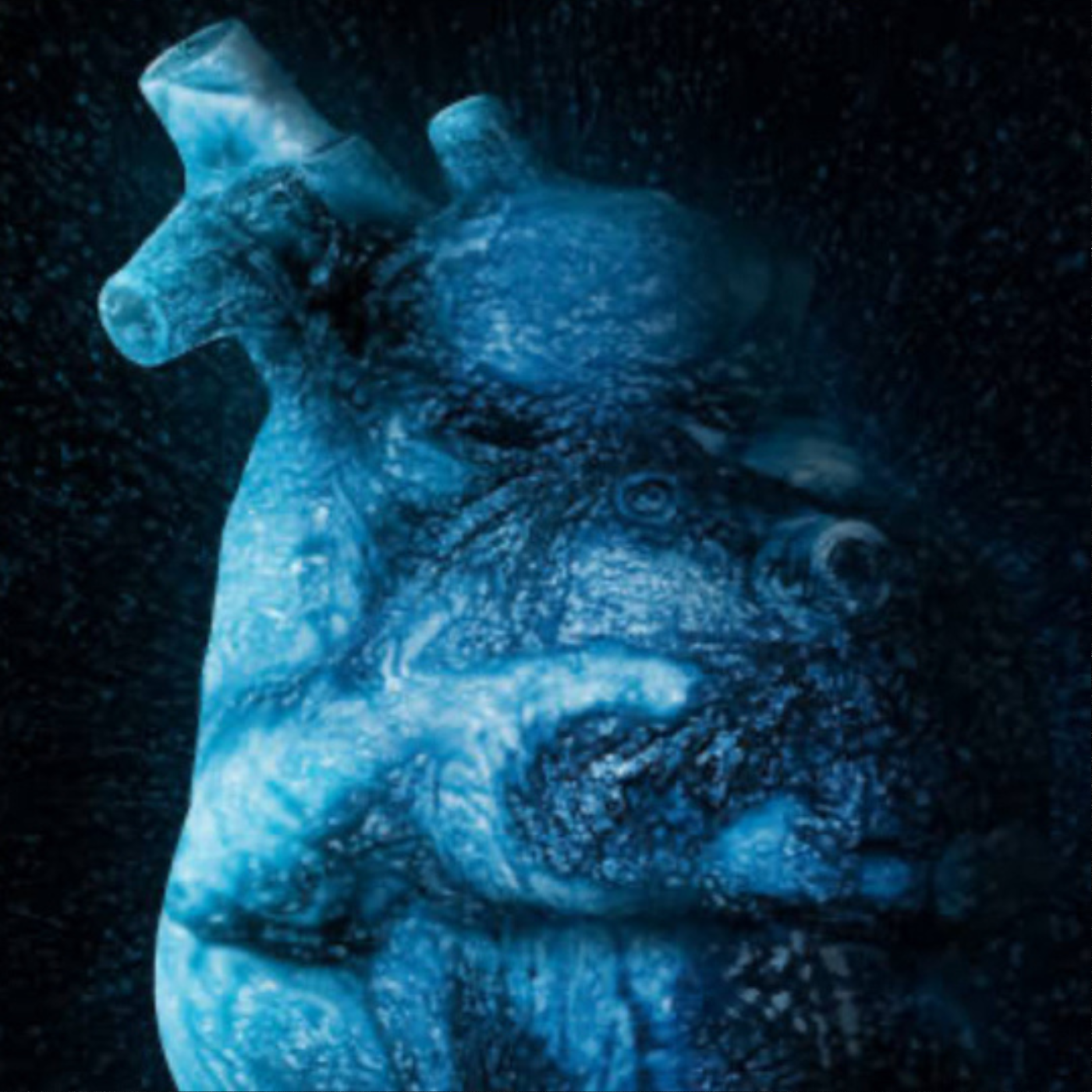 Frozen artwork