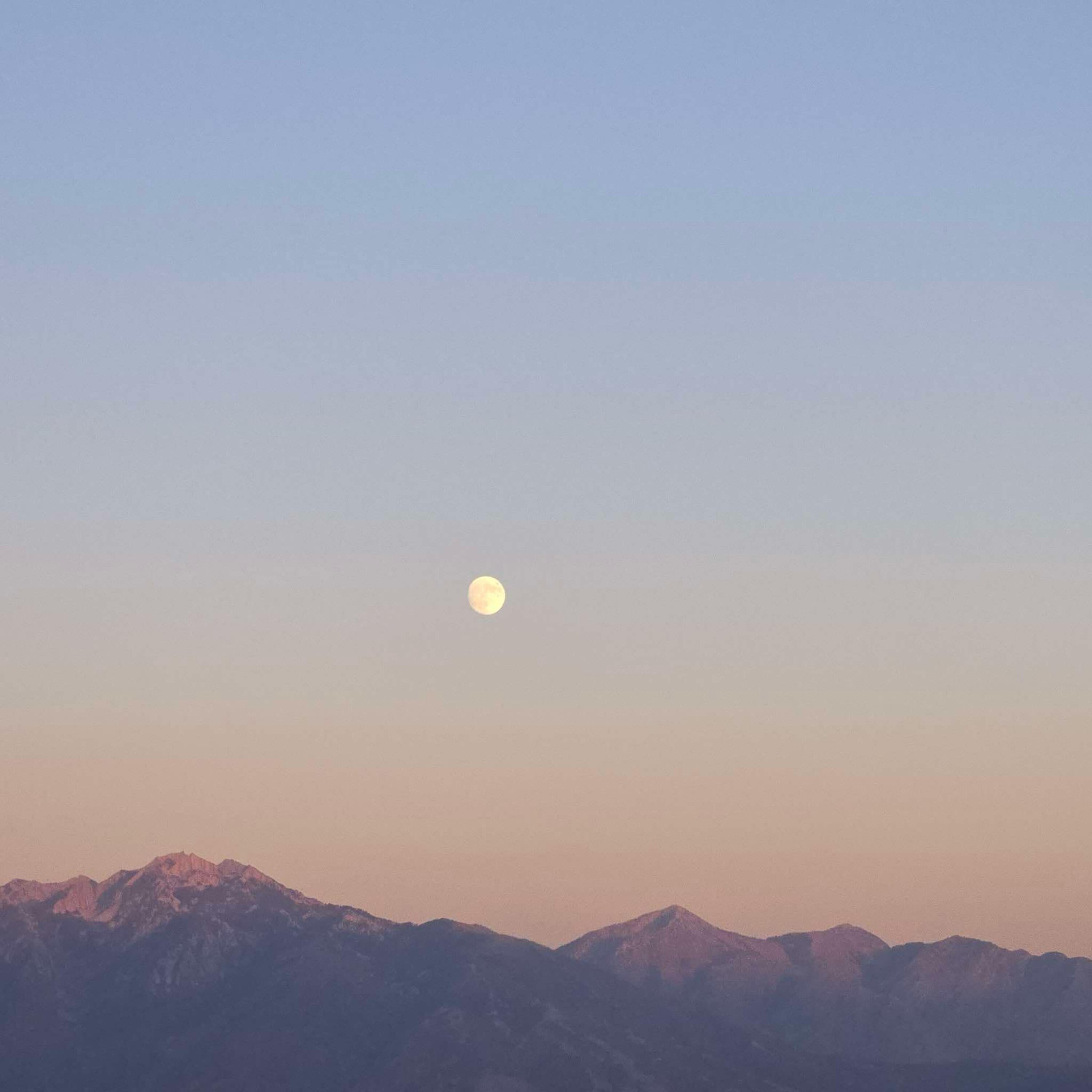 Backyard Mountains artwork