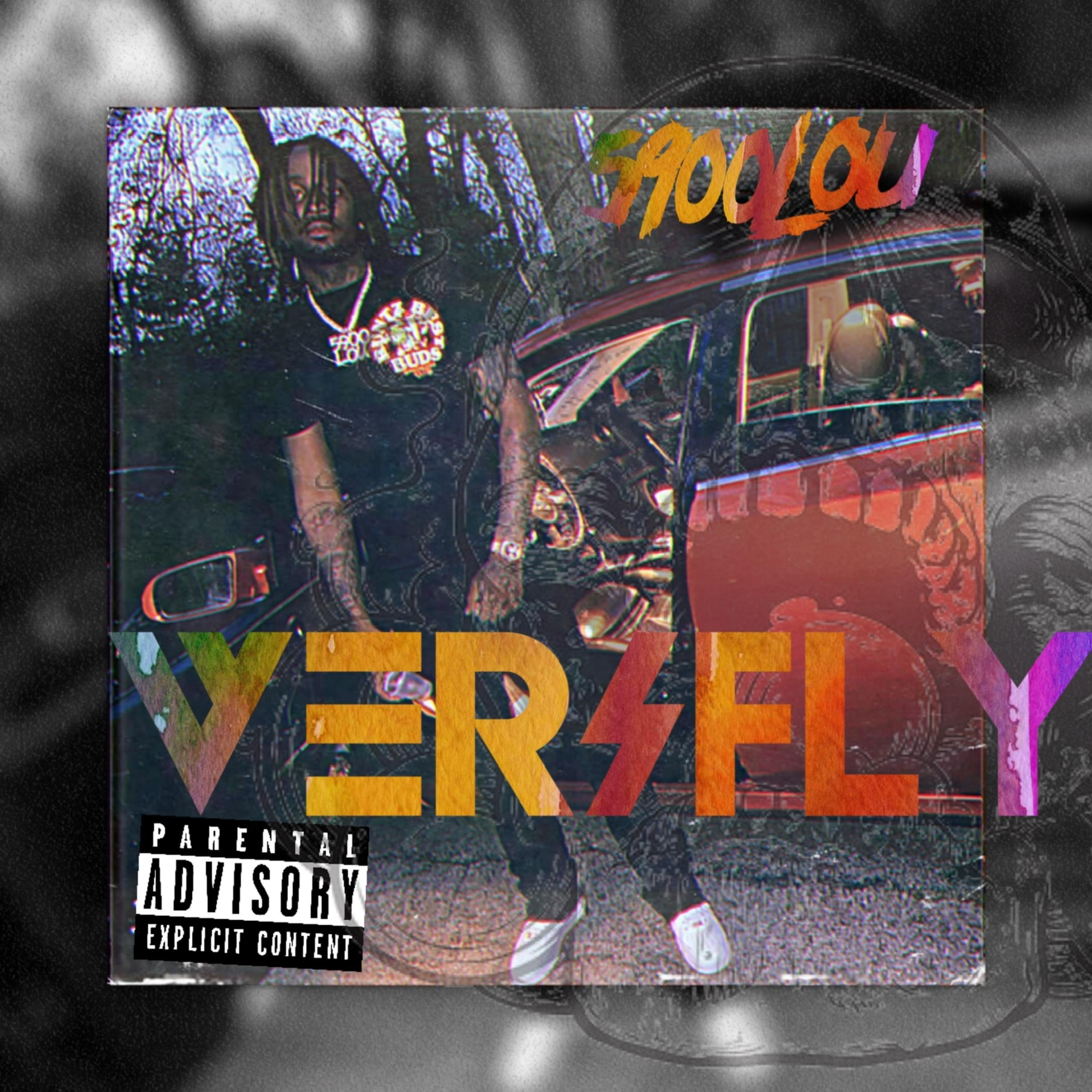 VeriFly (773) artwork
