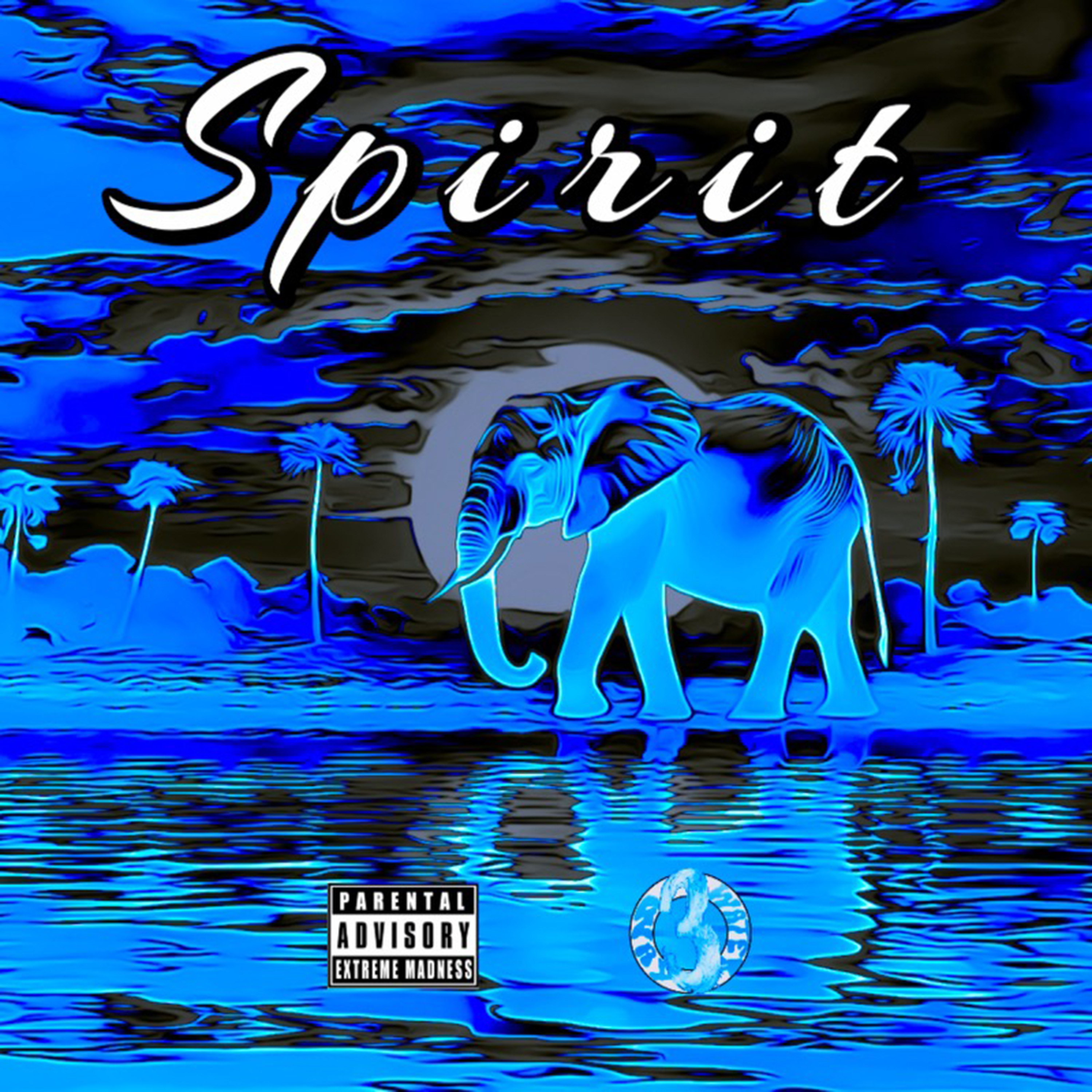 SPIRIT artwork