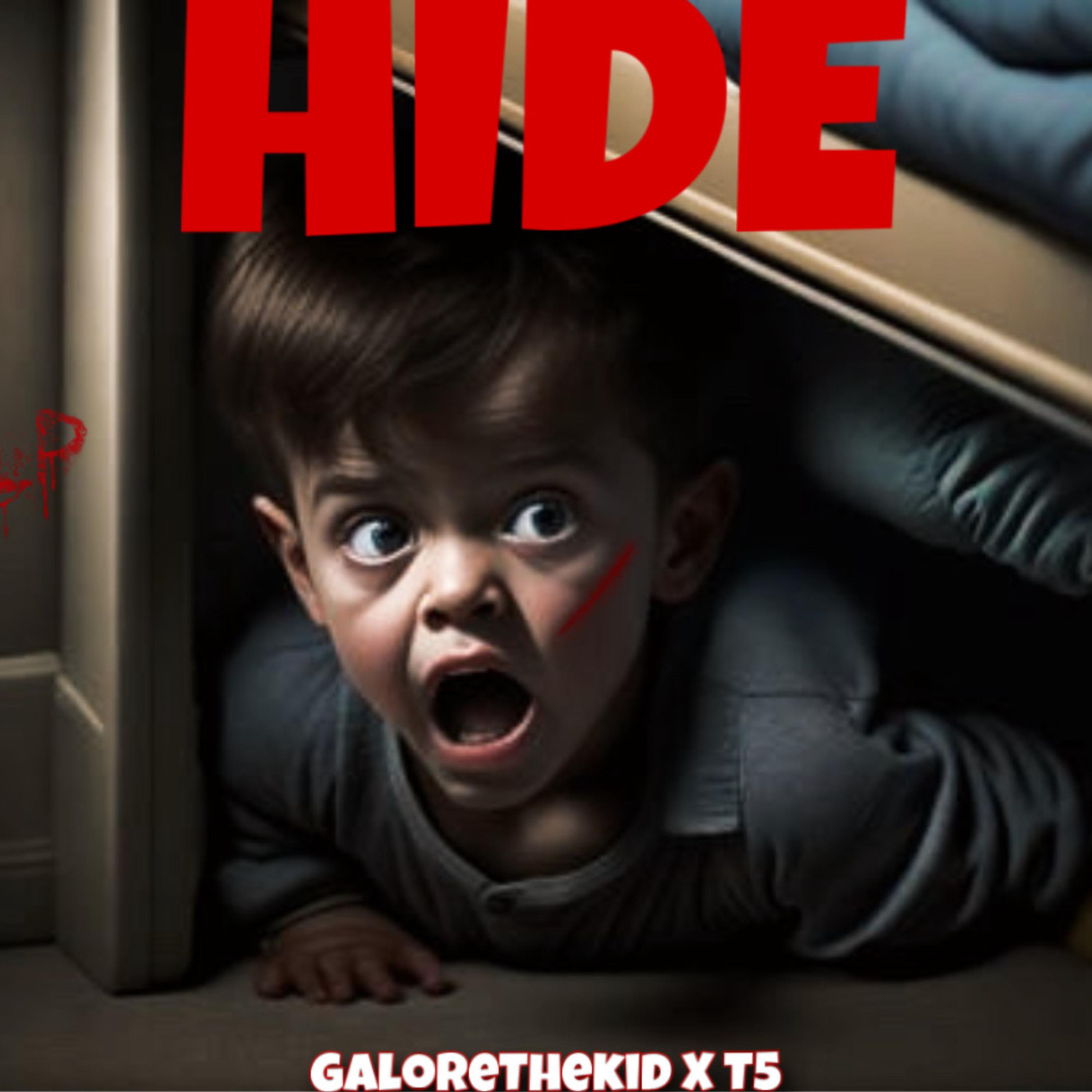 Hide artwork