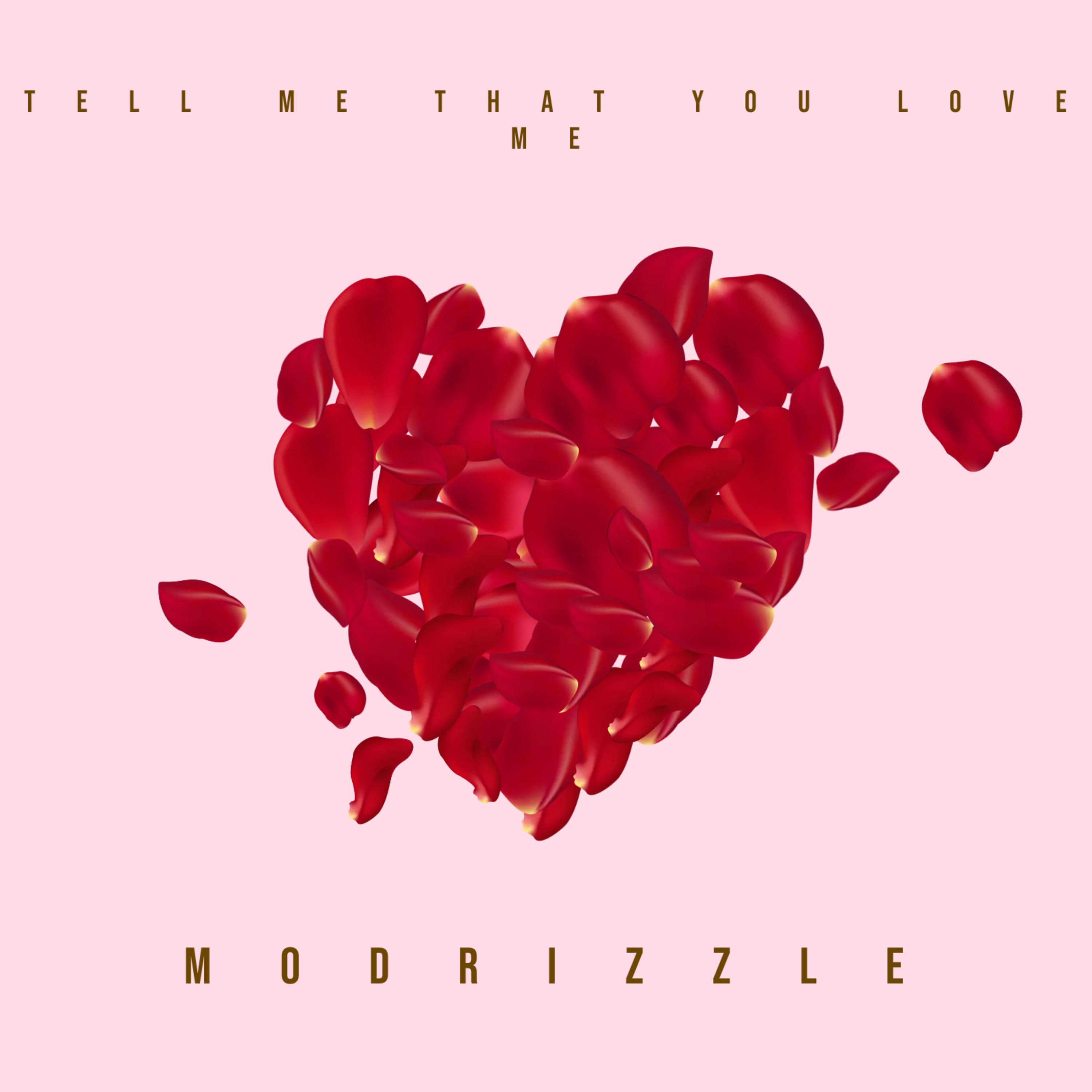 Tell Me That You Love Me artwork