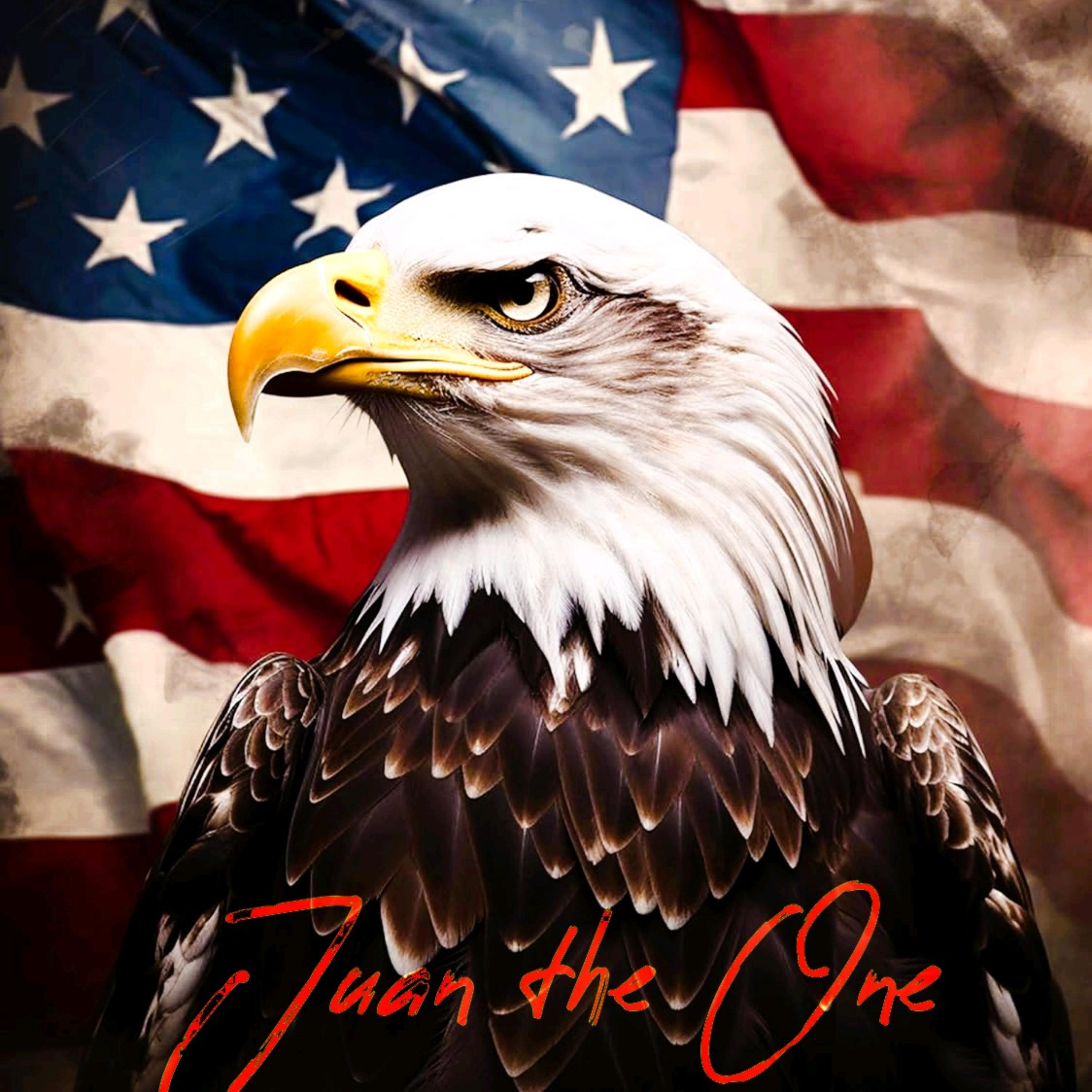 AMERICA ( Remix ) by Juan The One cover art