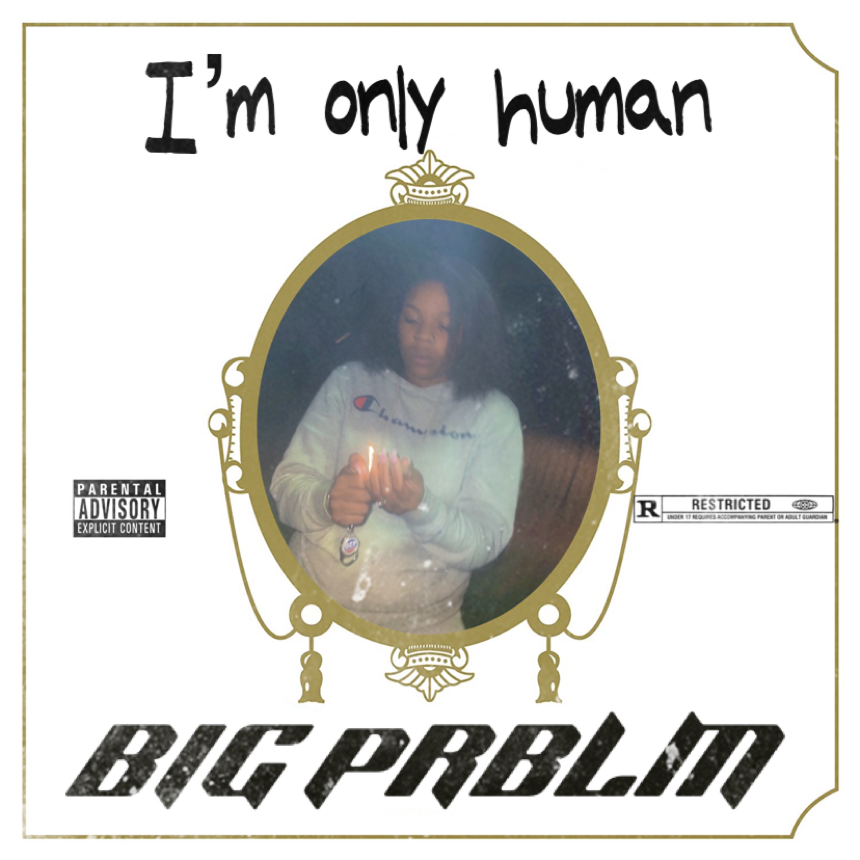 Im Only Human artwork
