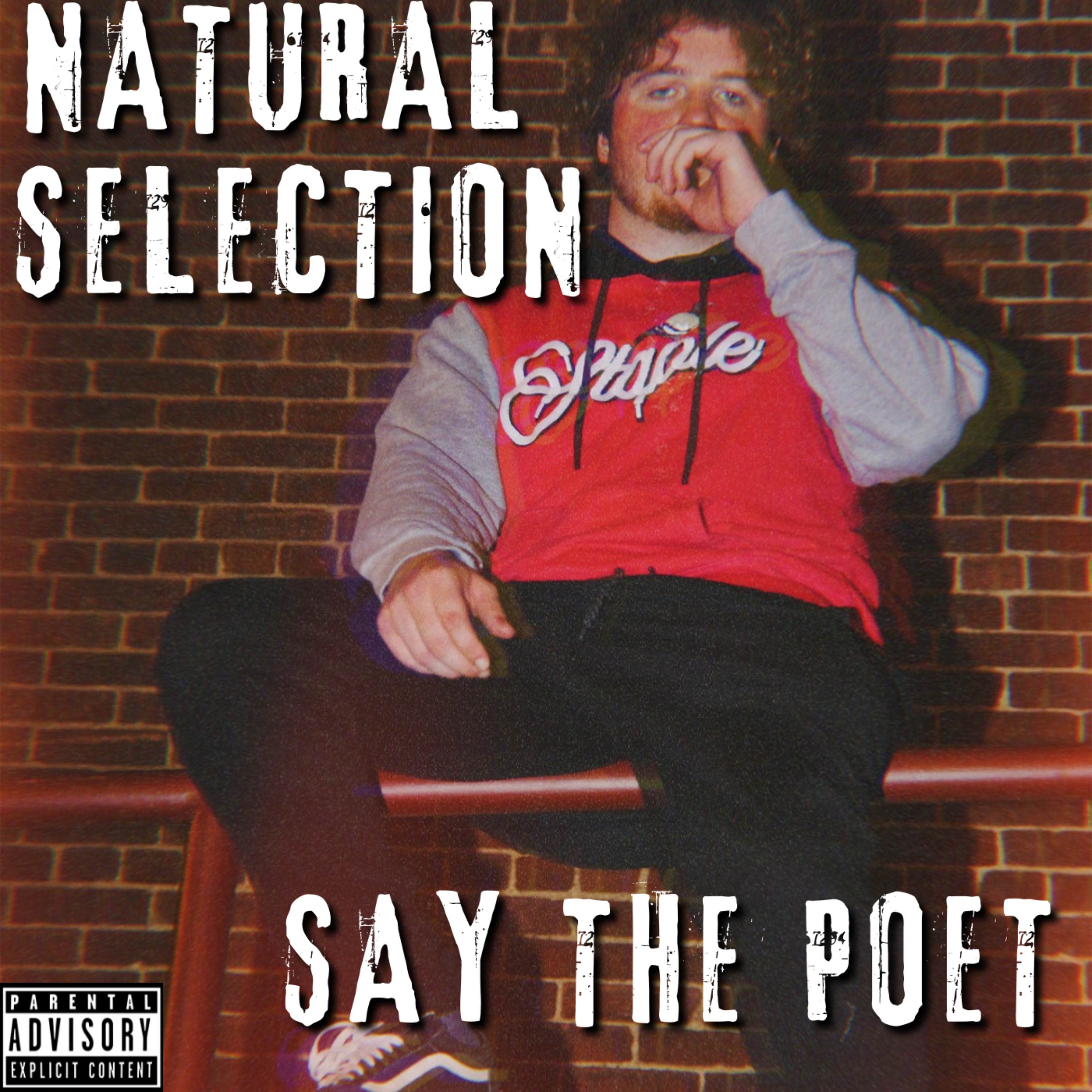 NATURAL SELECTION artwork