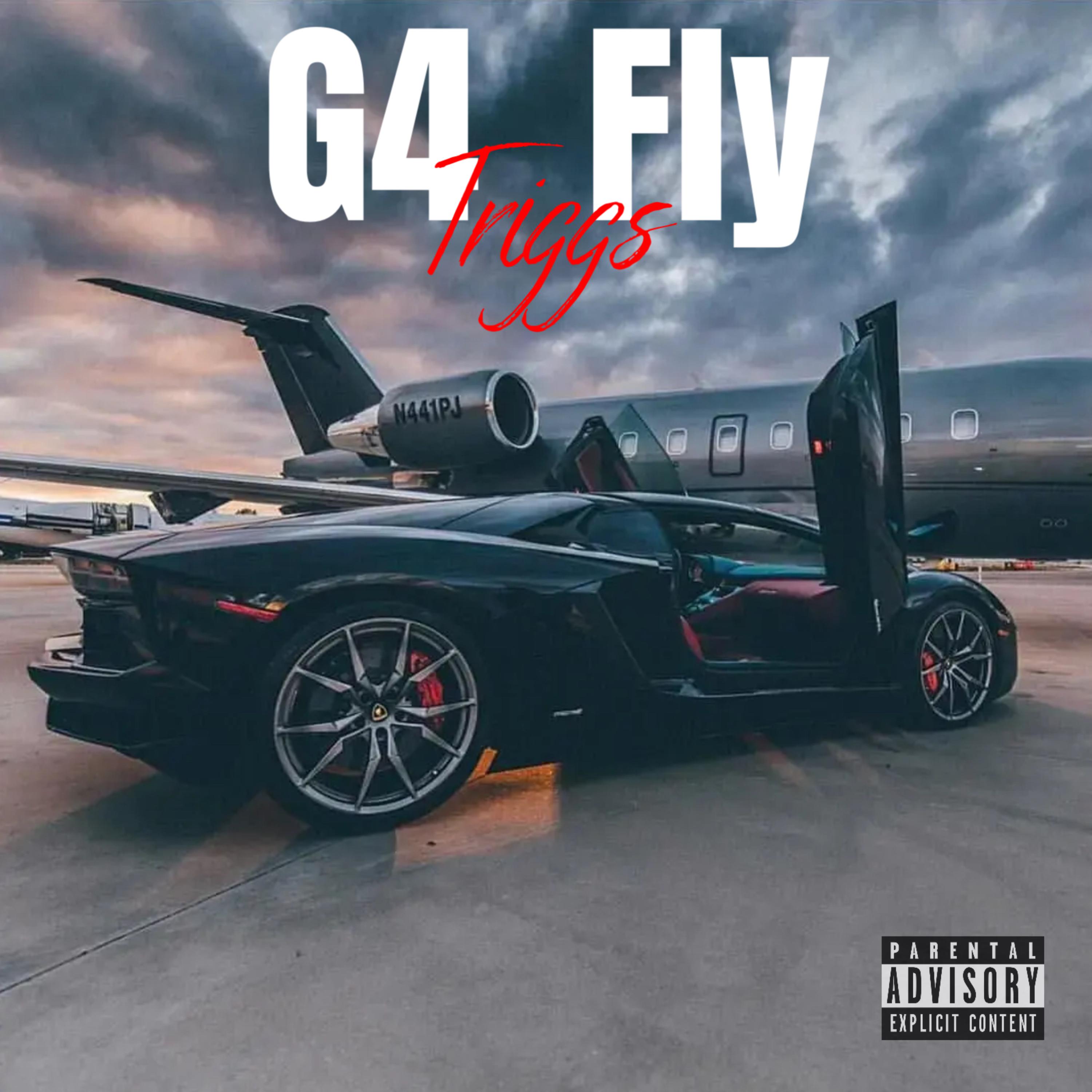 G4 Fly artwork