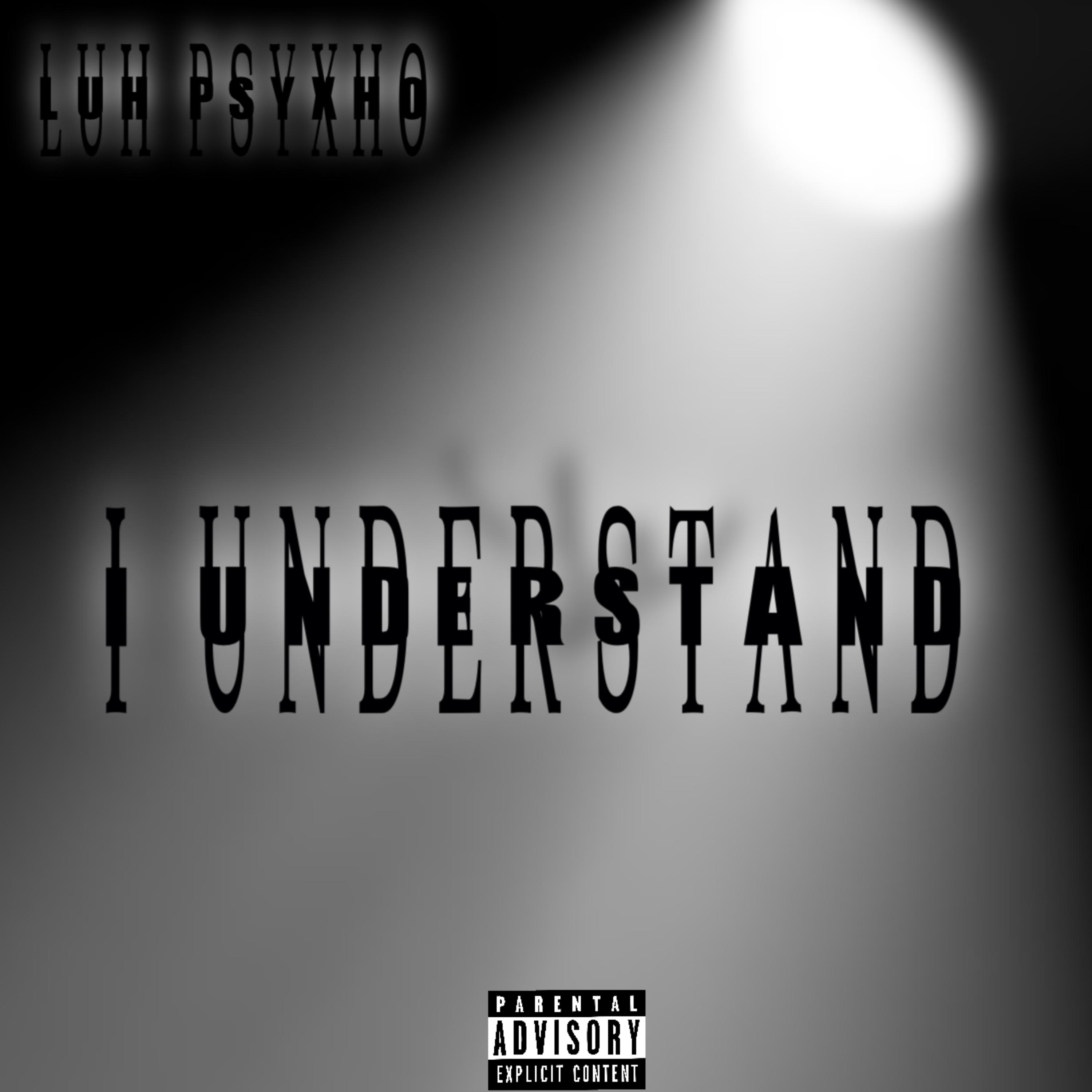 I Understand artwork
