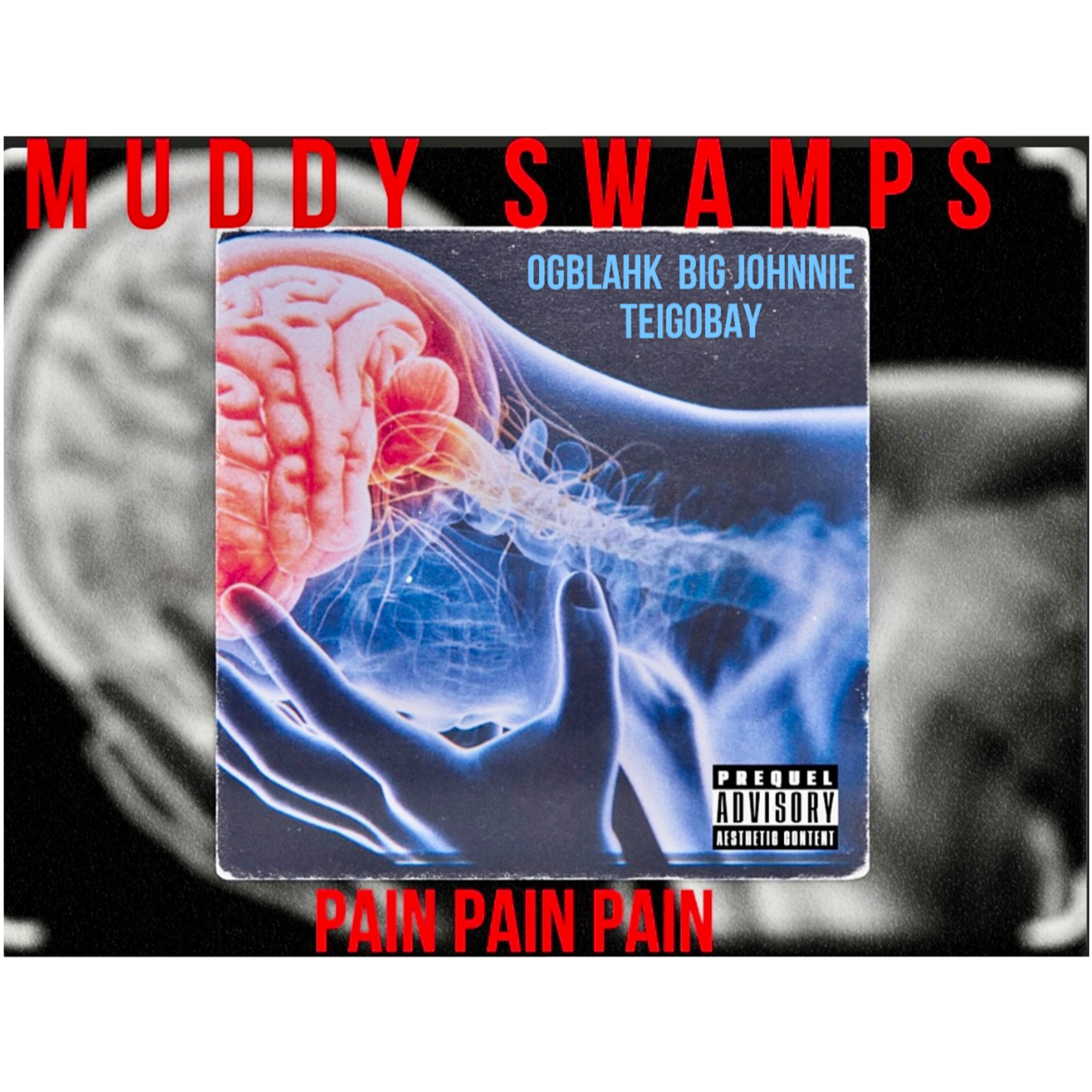 Pain Pain Pain artwork