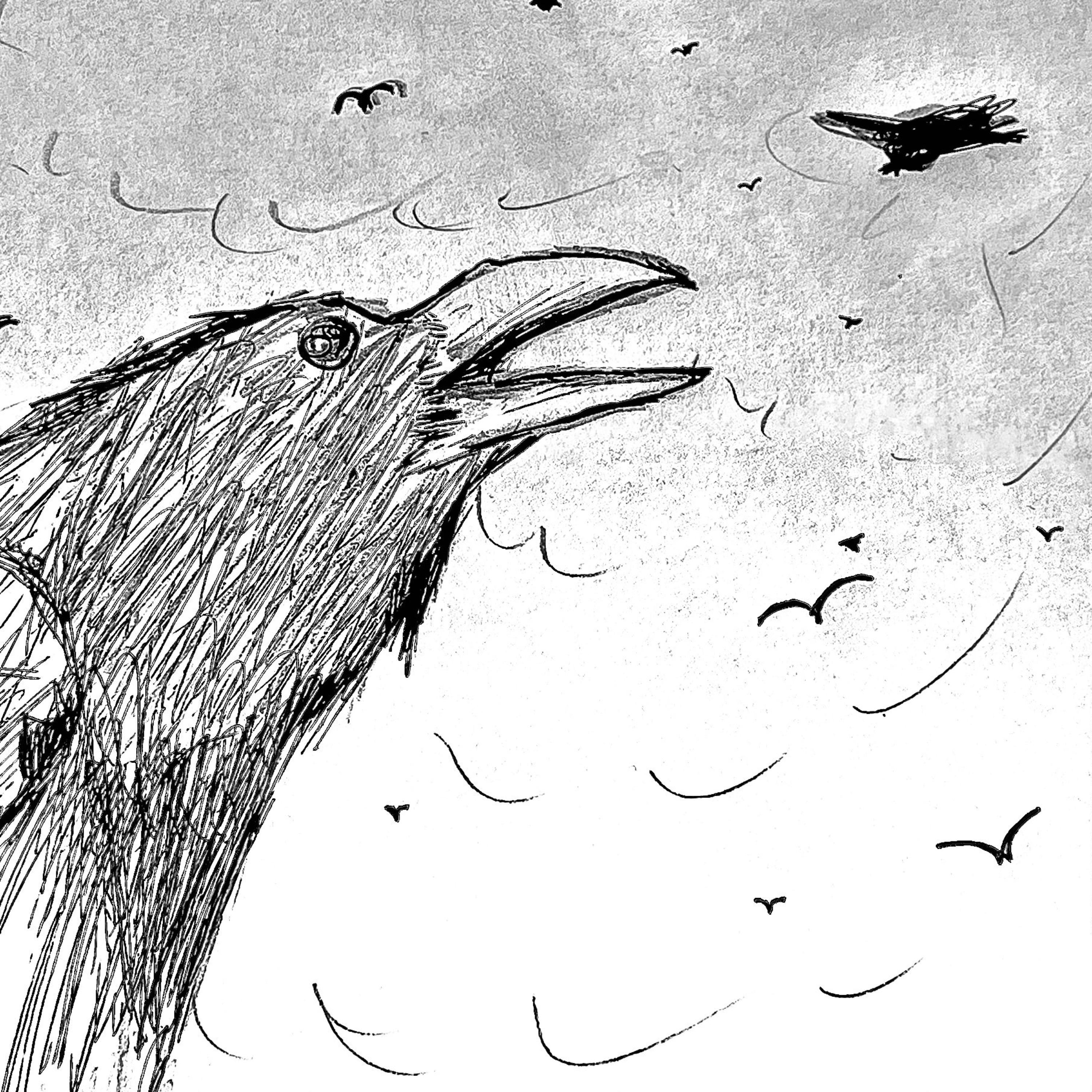 THE BIRDS artwork