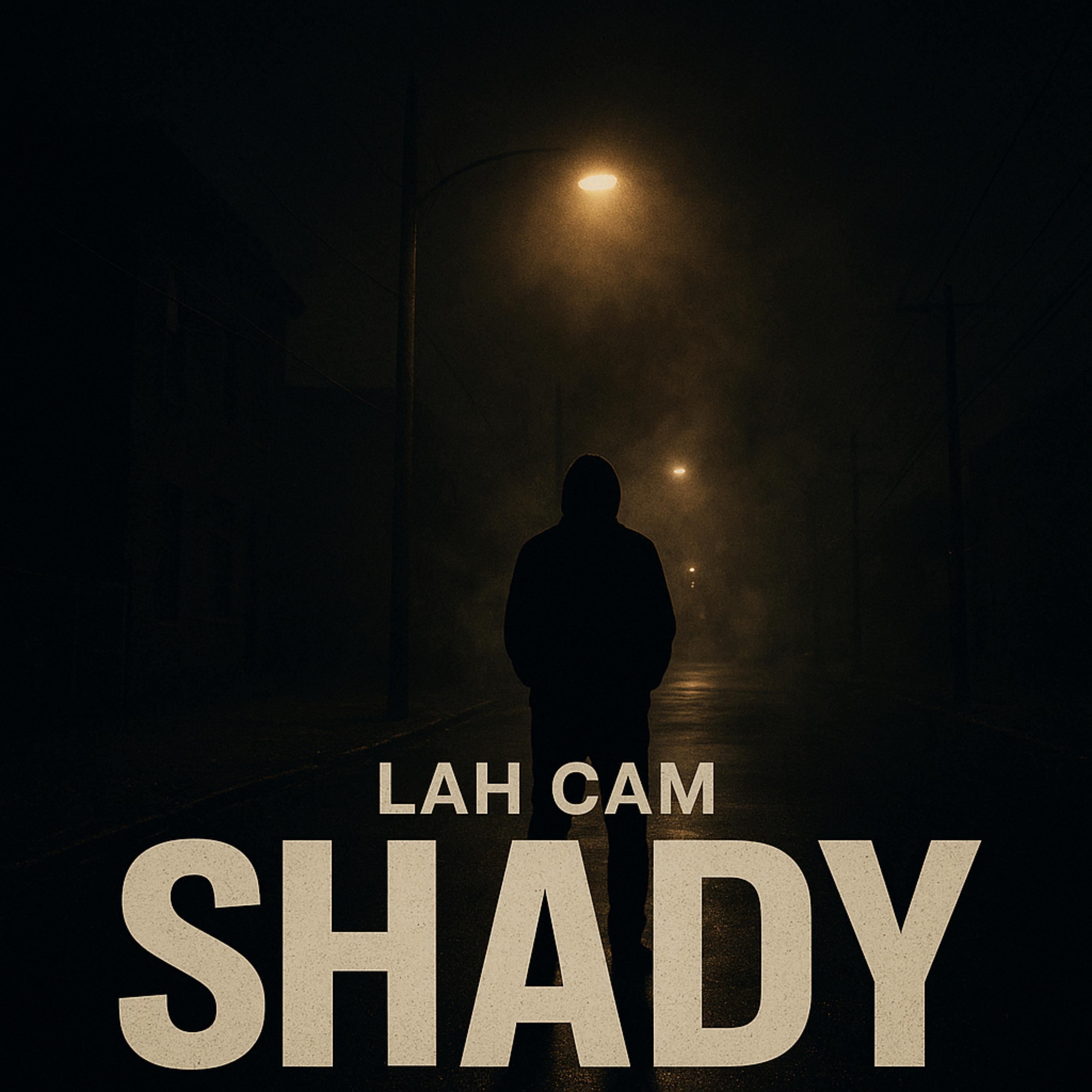Shady artwork