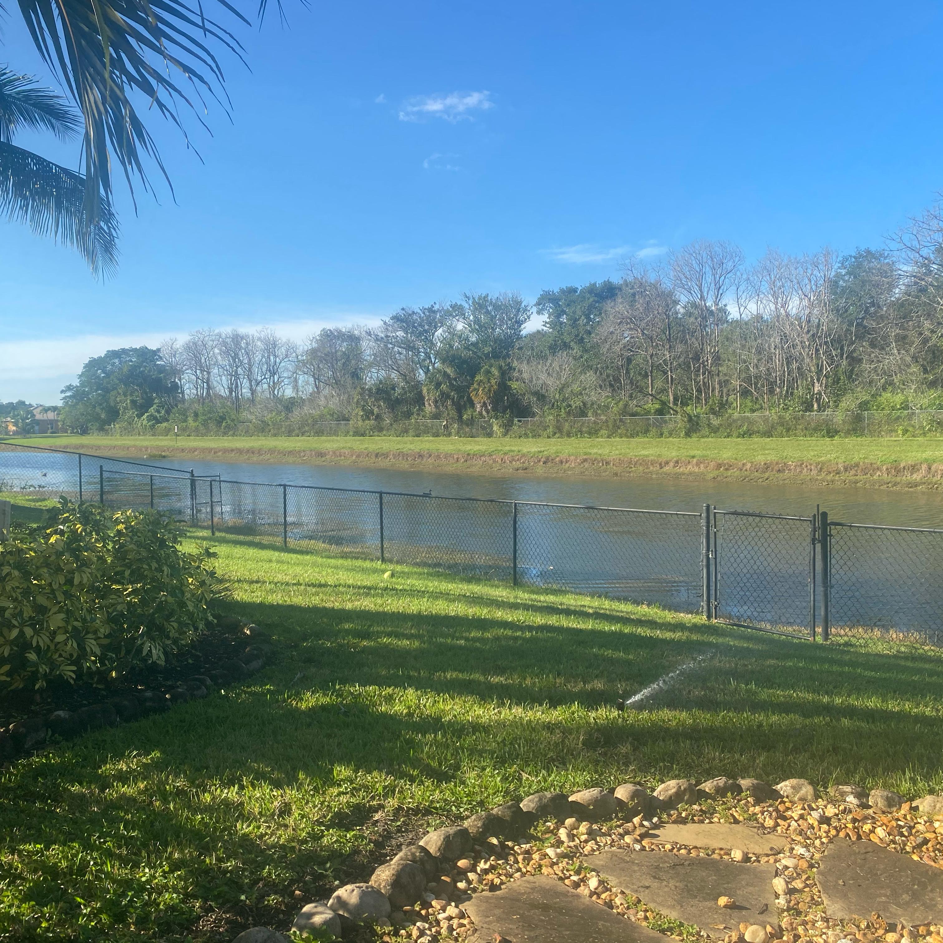 Chase The Bag artwork