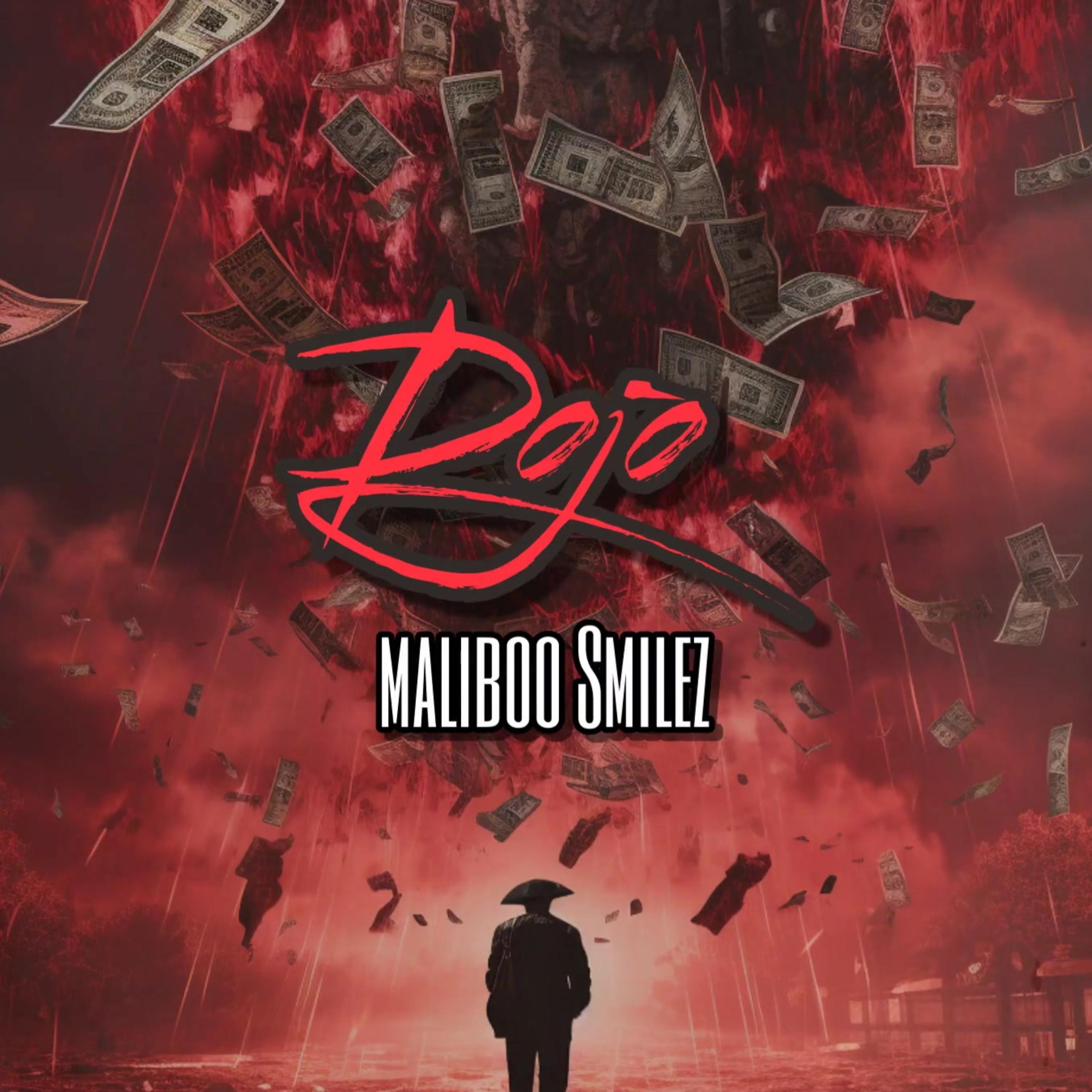 Dojo by MalibooSmiley cover art