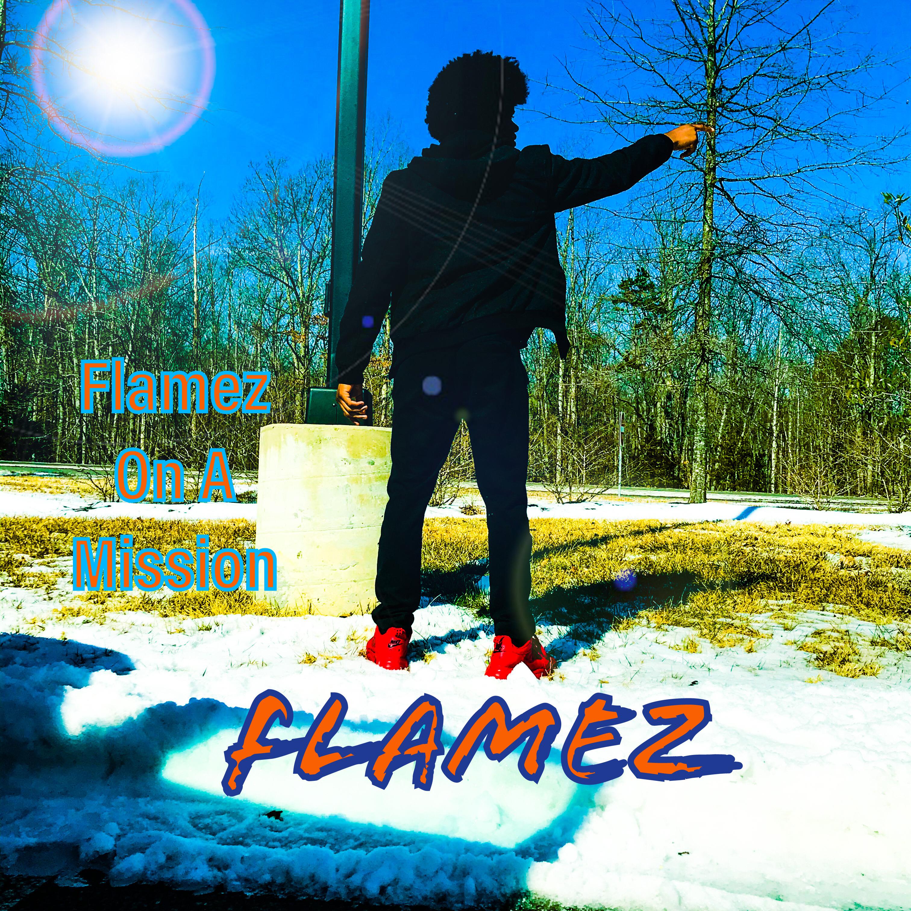 Flamez On A Mission artwork