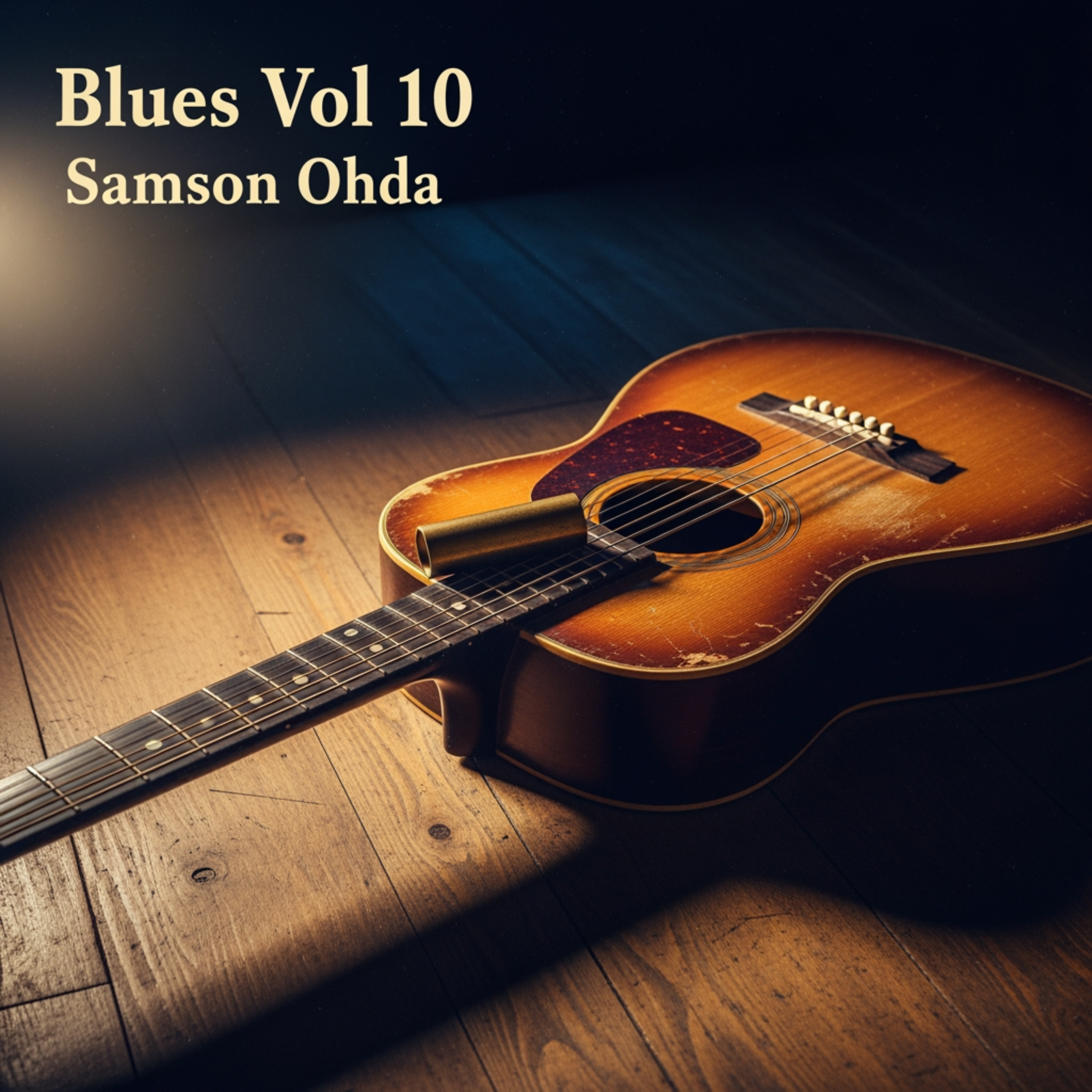 Blues Vol 10 Album artwork