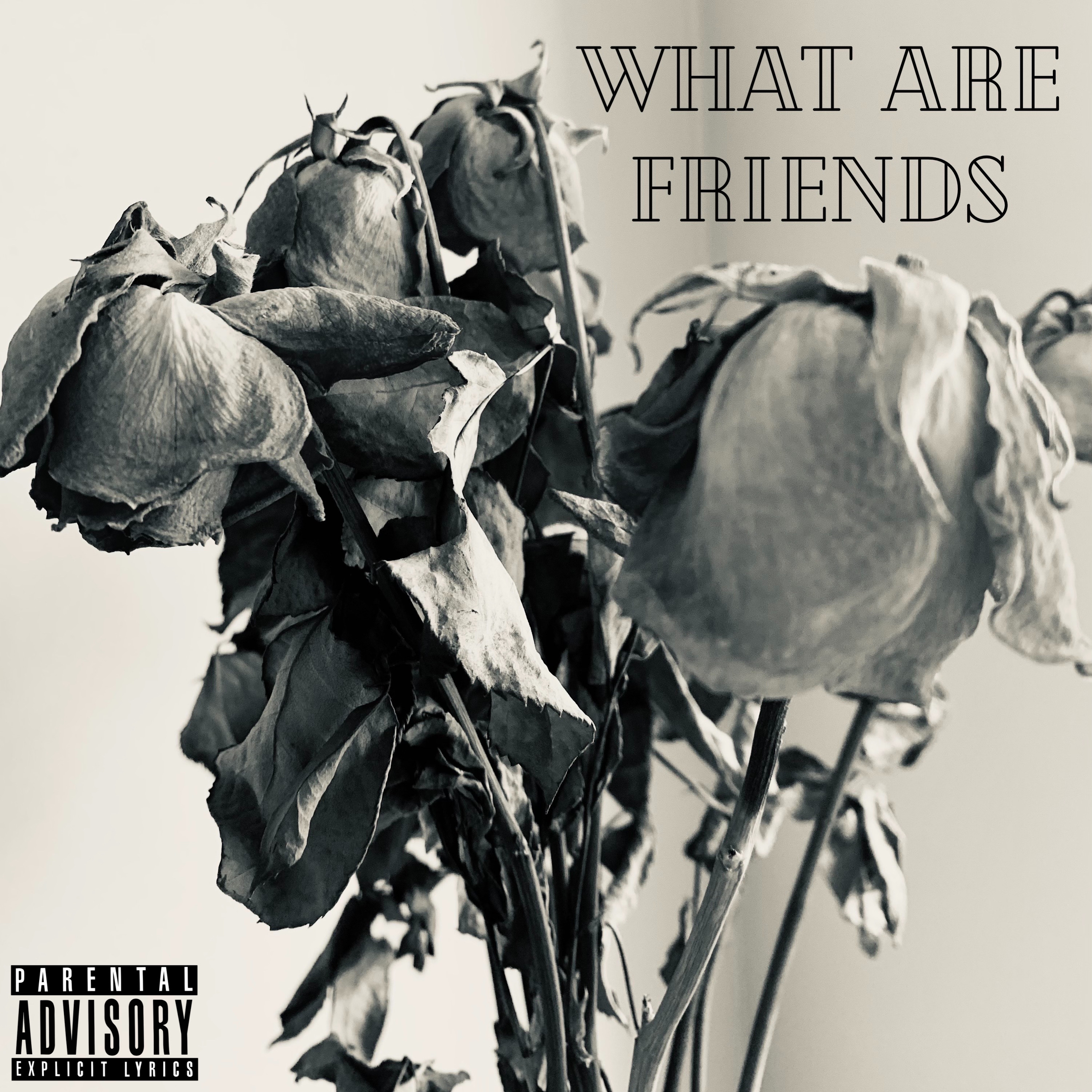 What Are Friends by Kid Klutch cover art