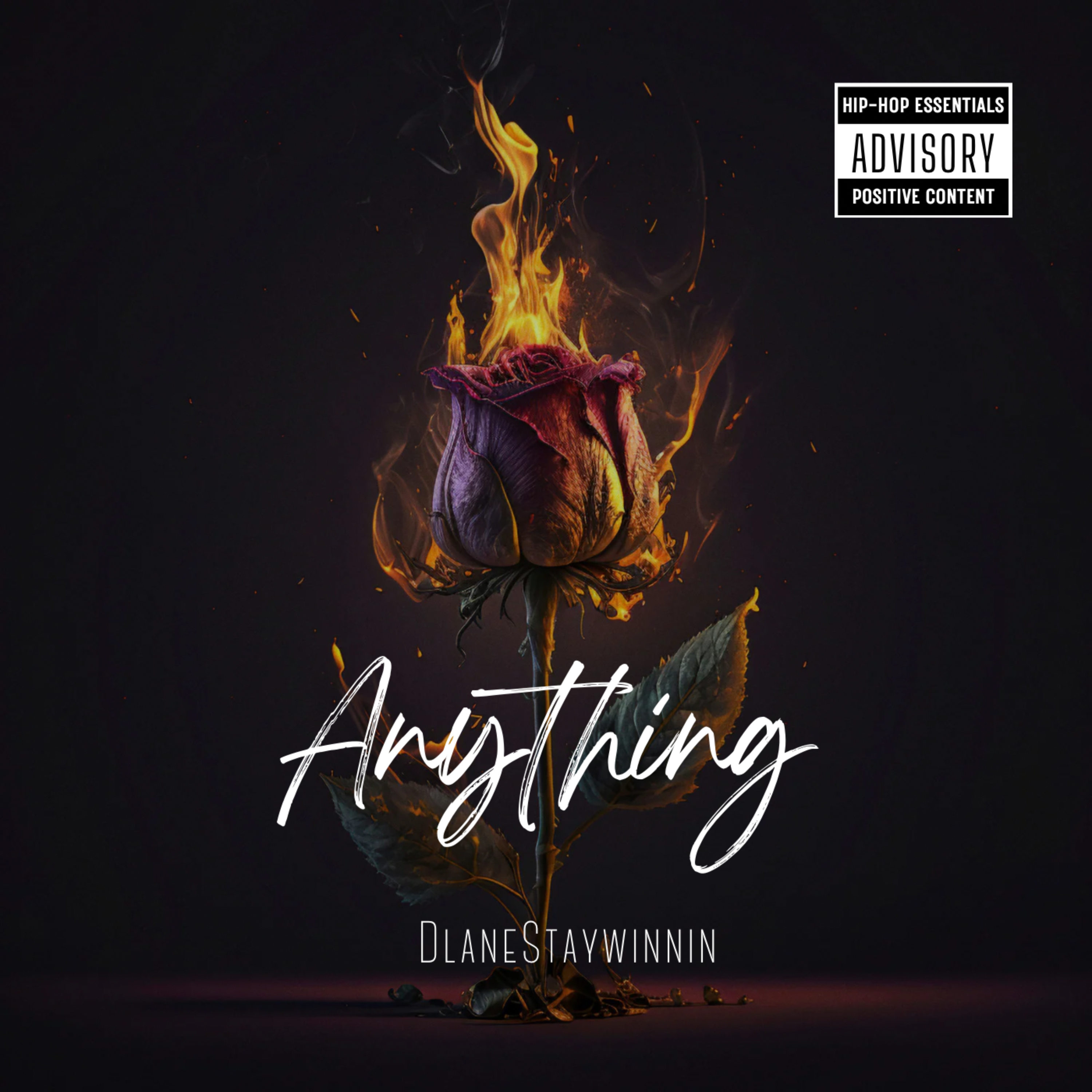 Anything artwork