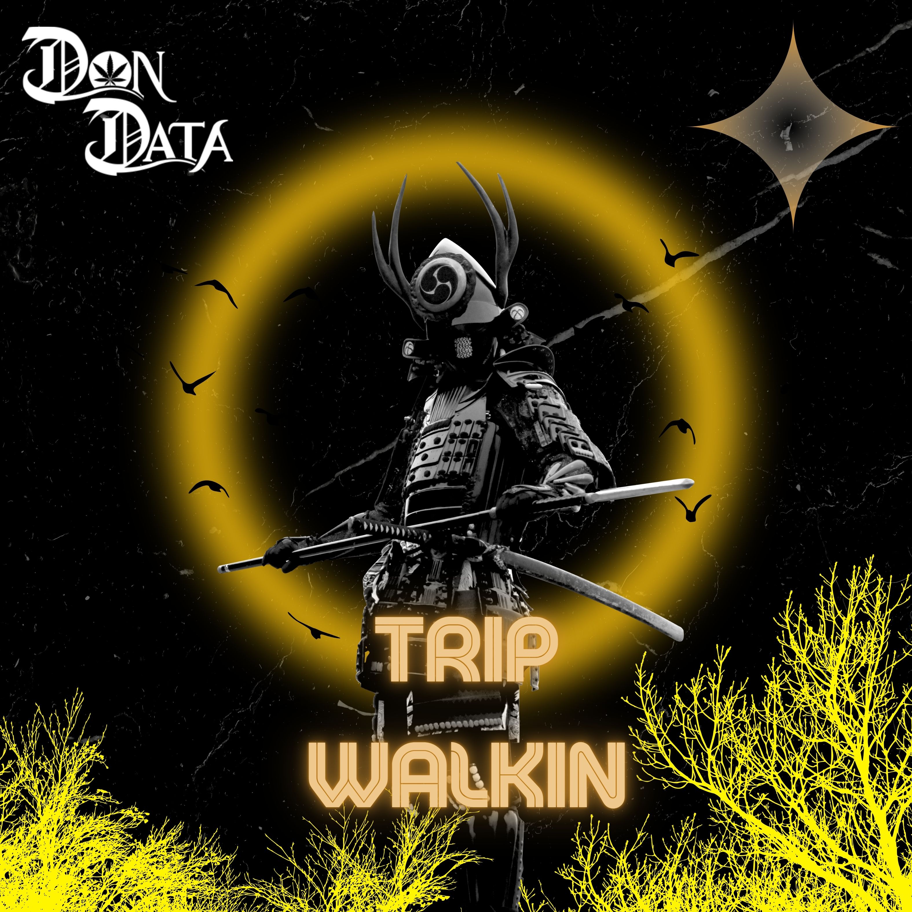 Trip Walkin artwork