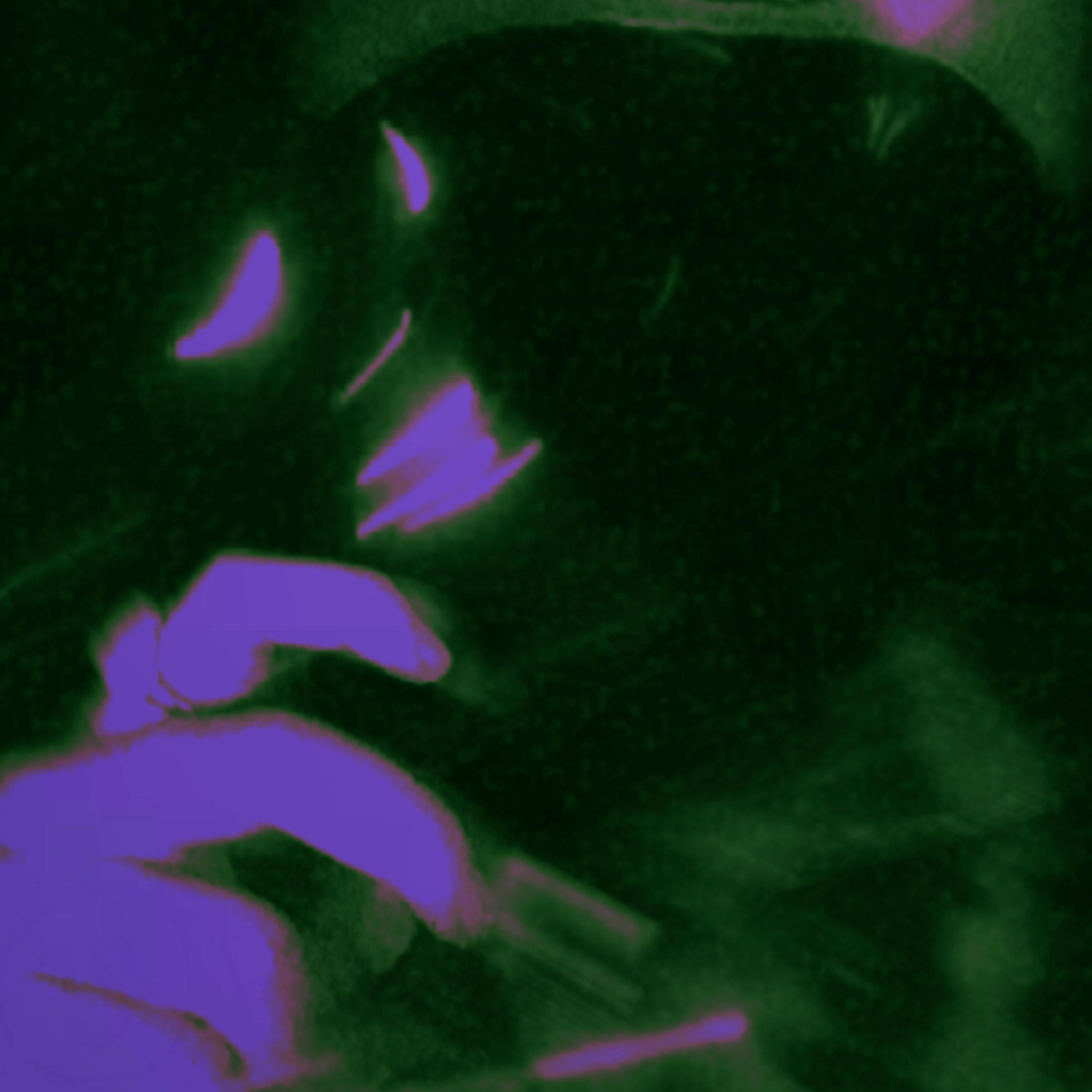 Goin artwork