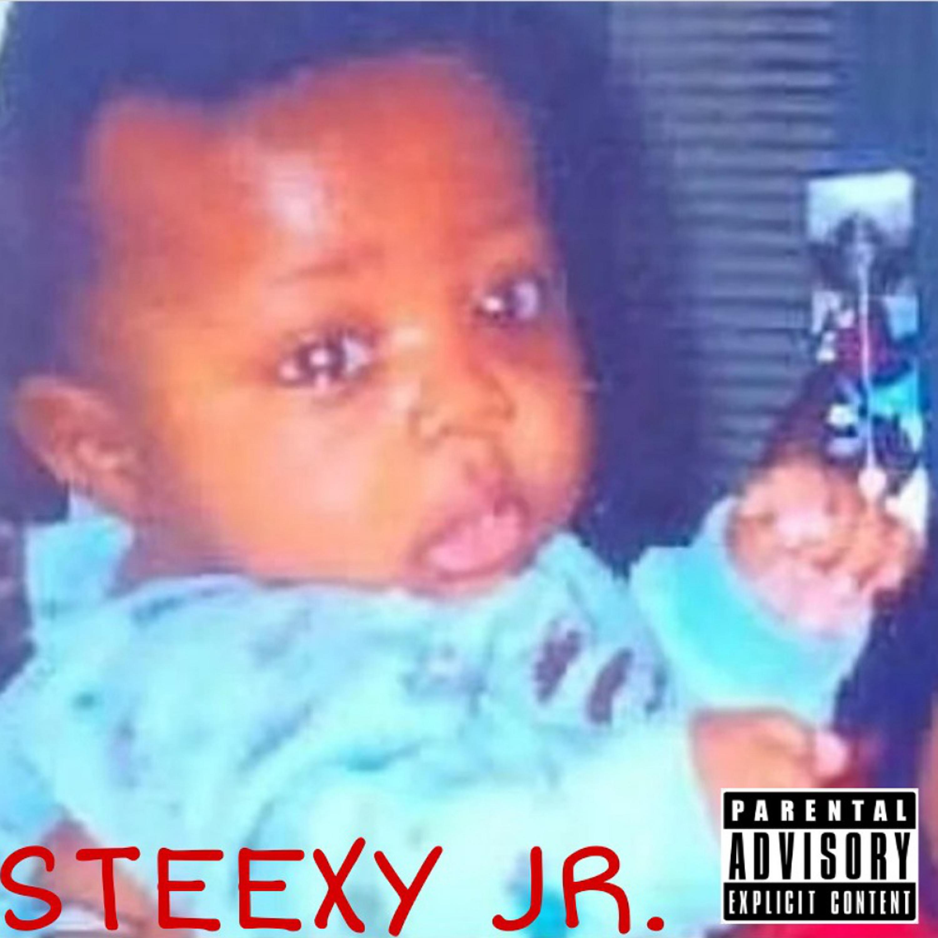 Steexy Jr. artwork