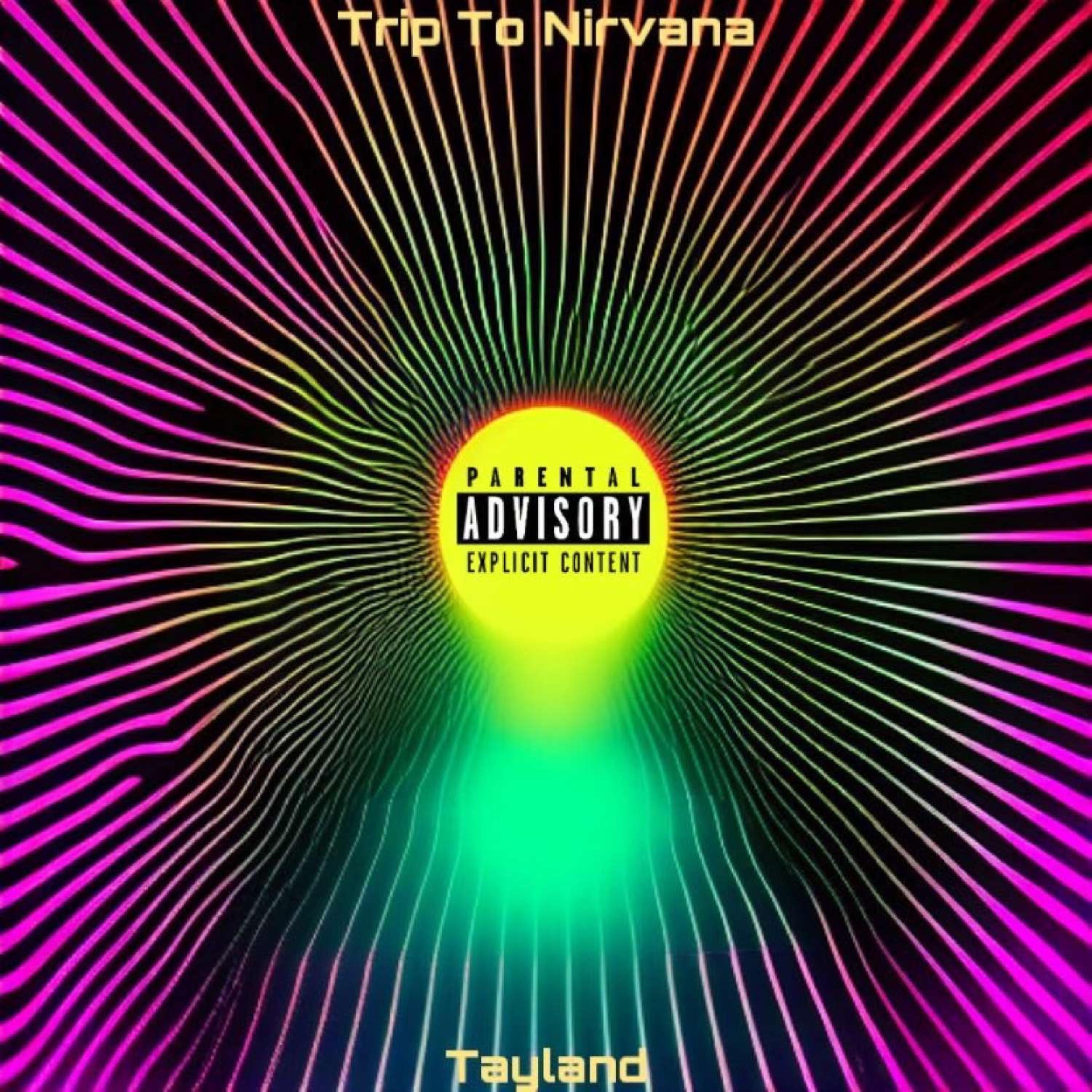Trip To Nirvana artwork