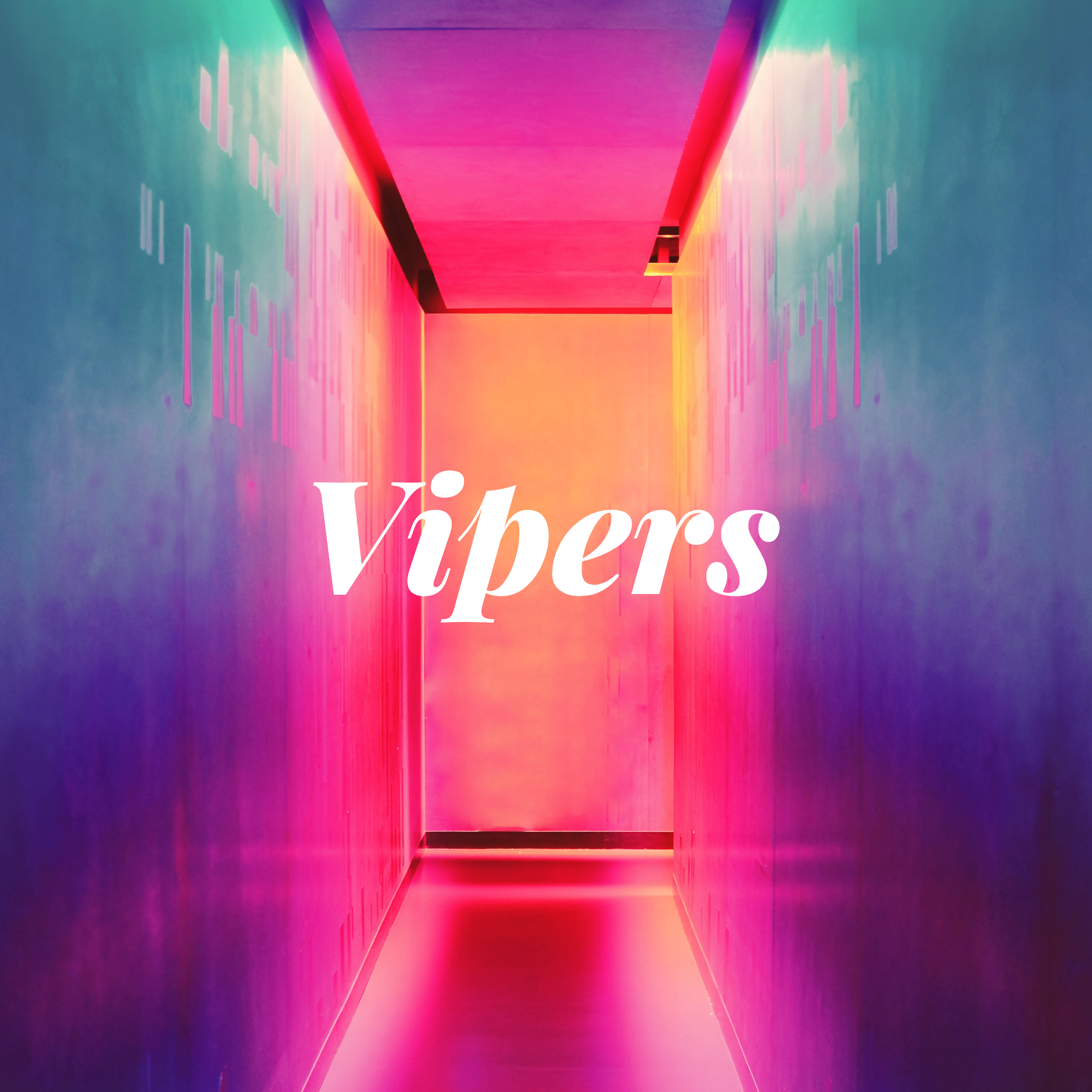 Vipers artwork