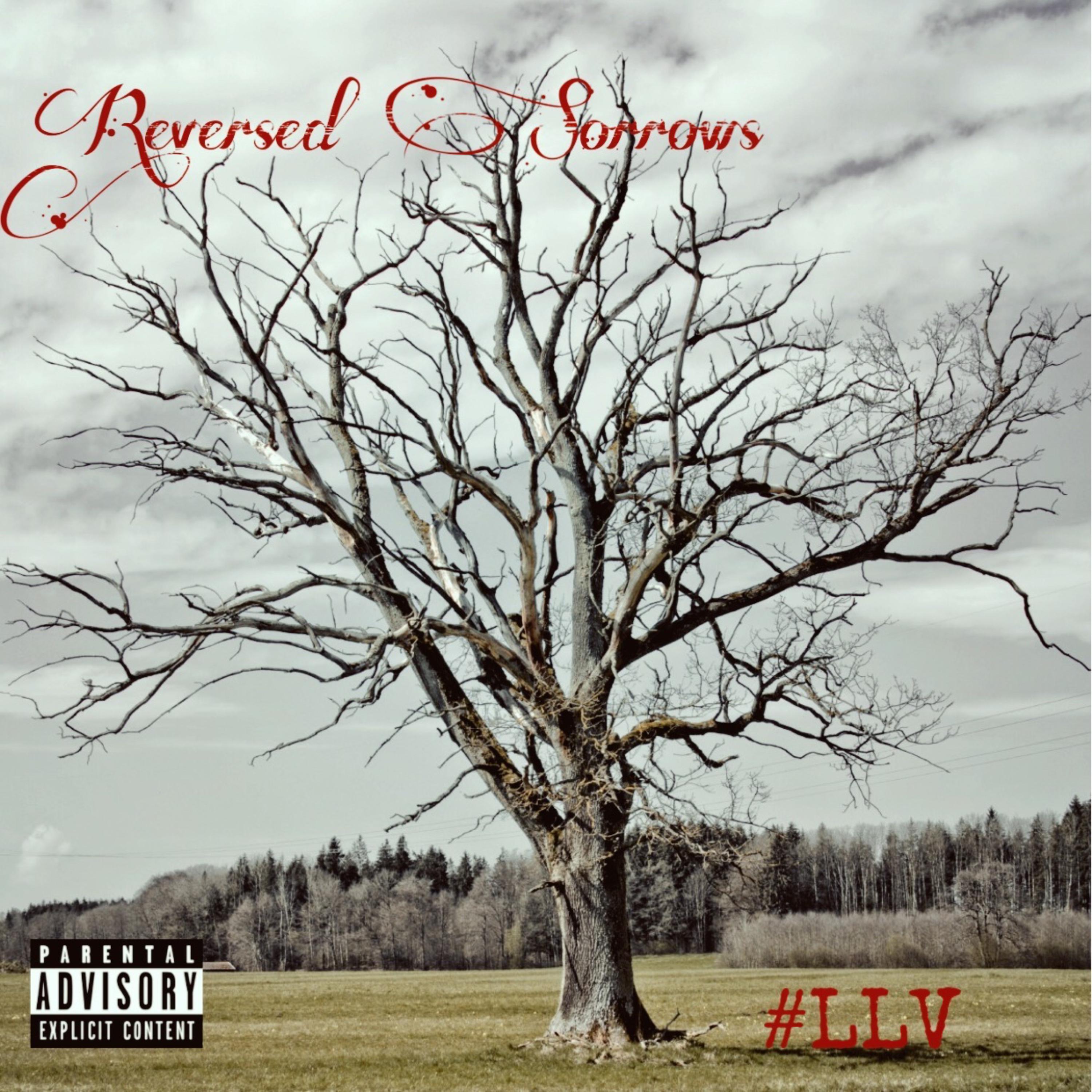 Reversed Sorrows artwork