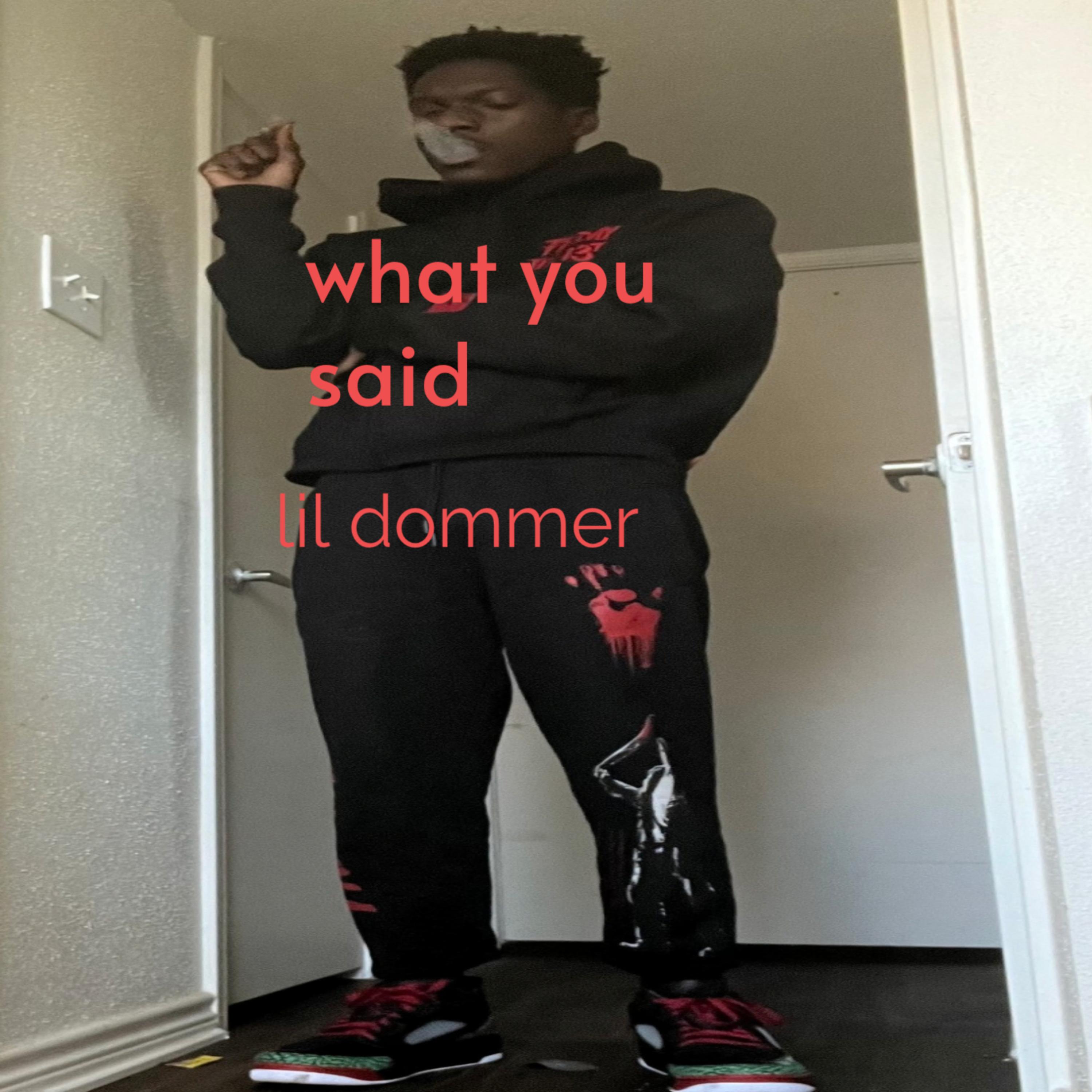 What You Said artwork