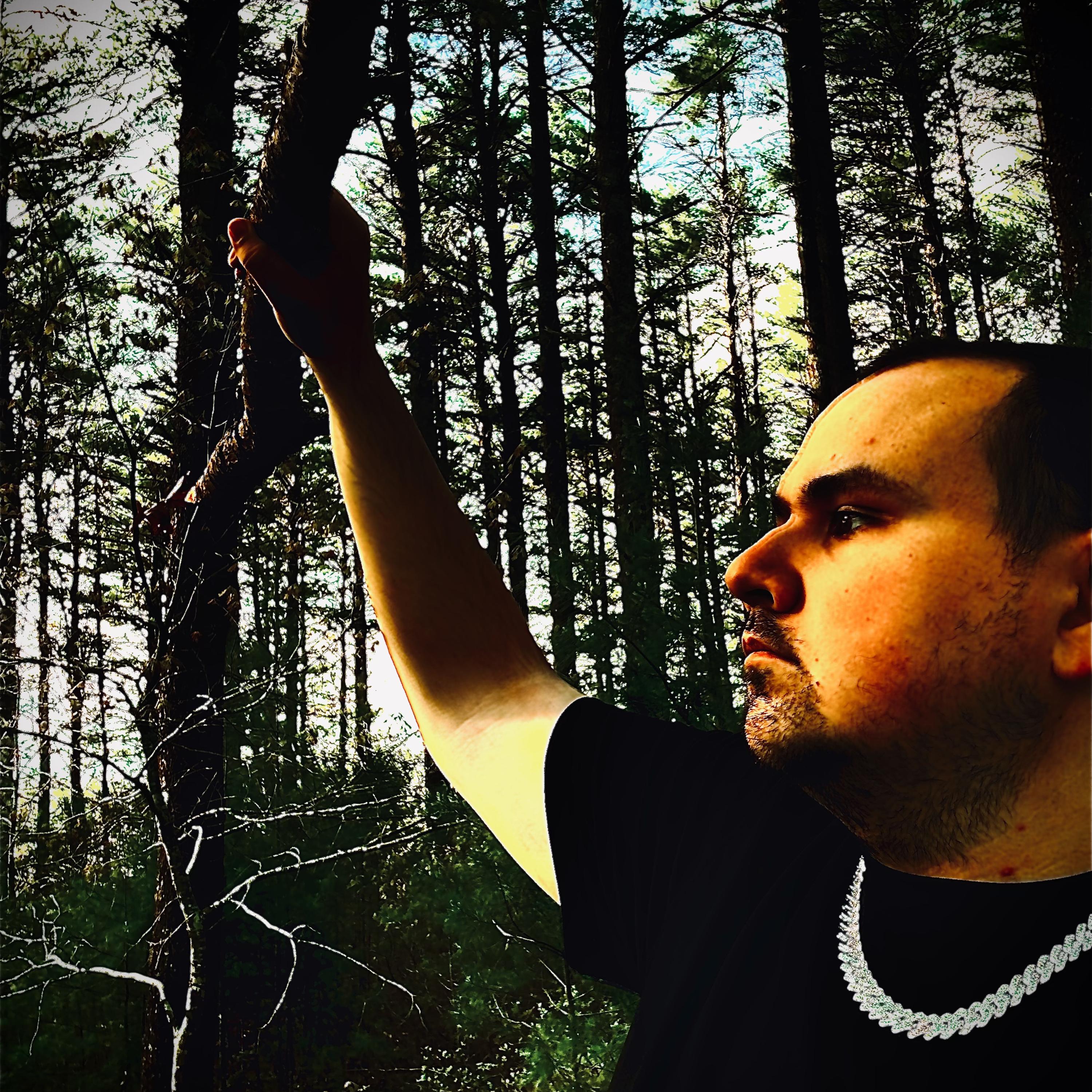 Da Woods artwork