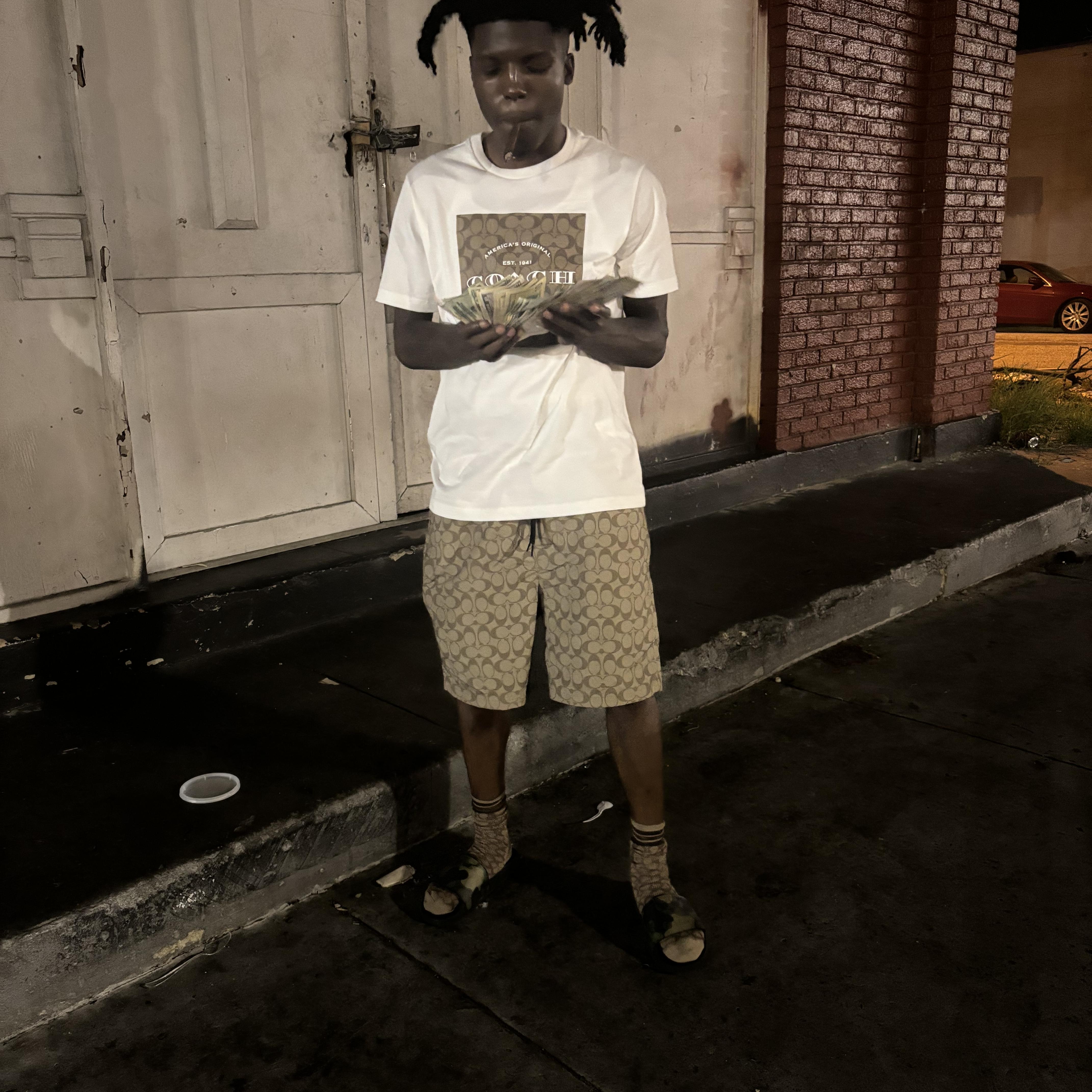 Havin Visionz artwork