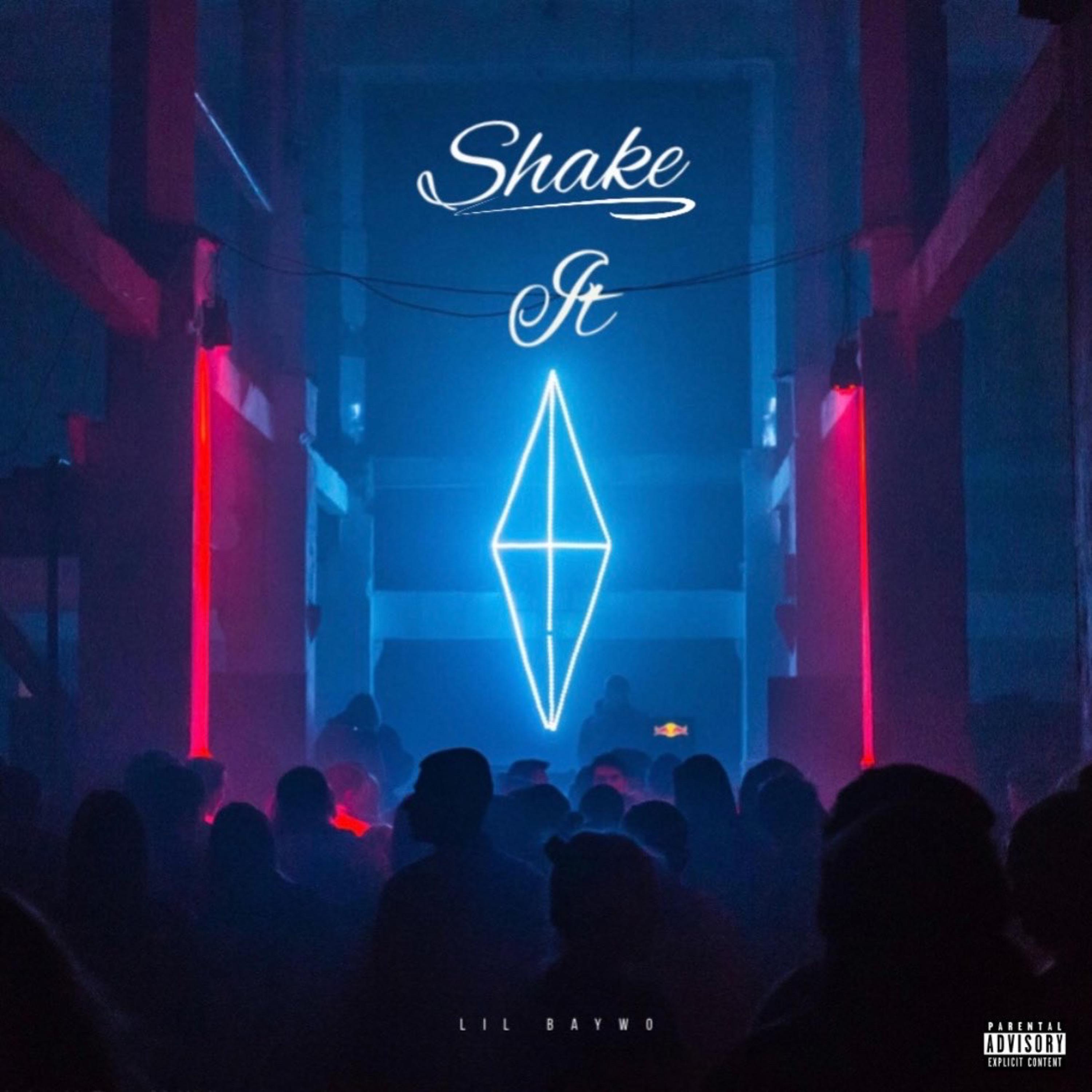 Shake it artwork