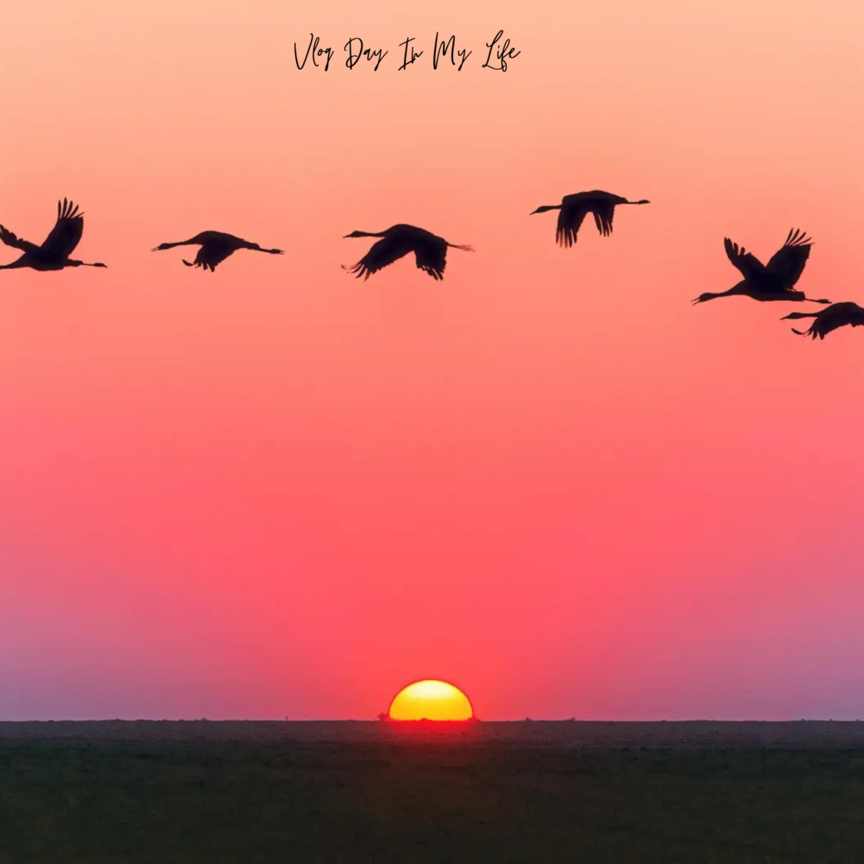 Vlog Day In My Life artwork