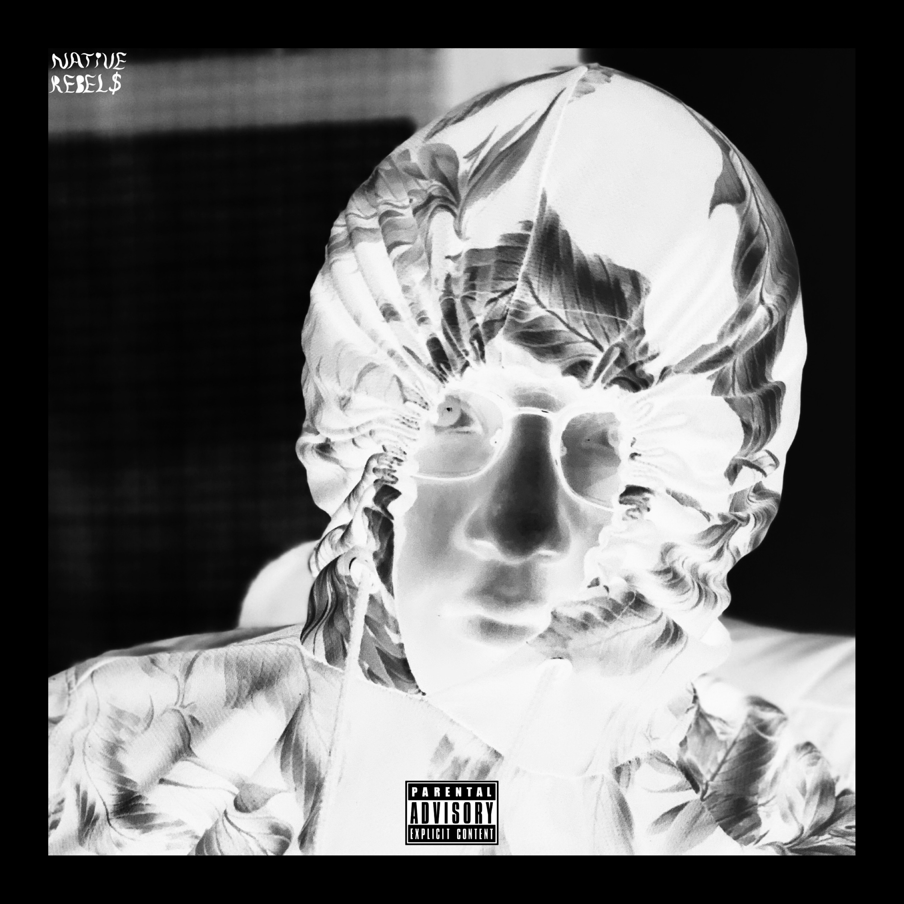 VIEWS artwork