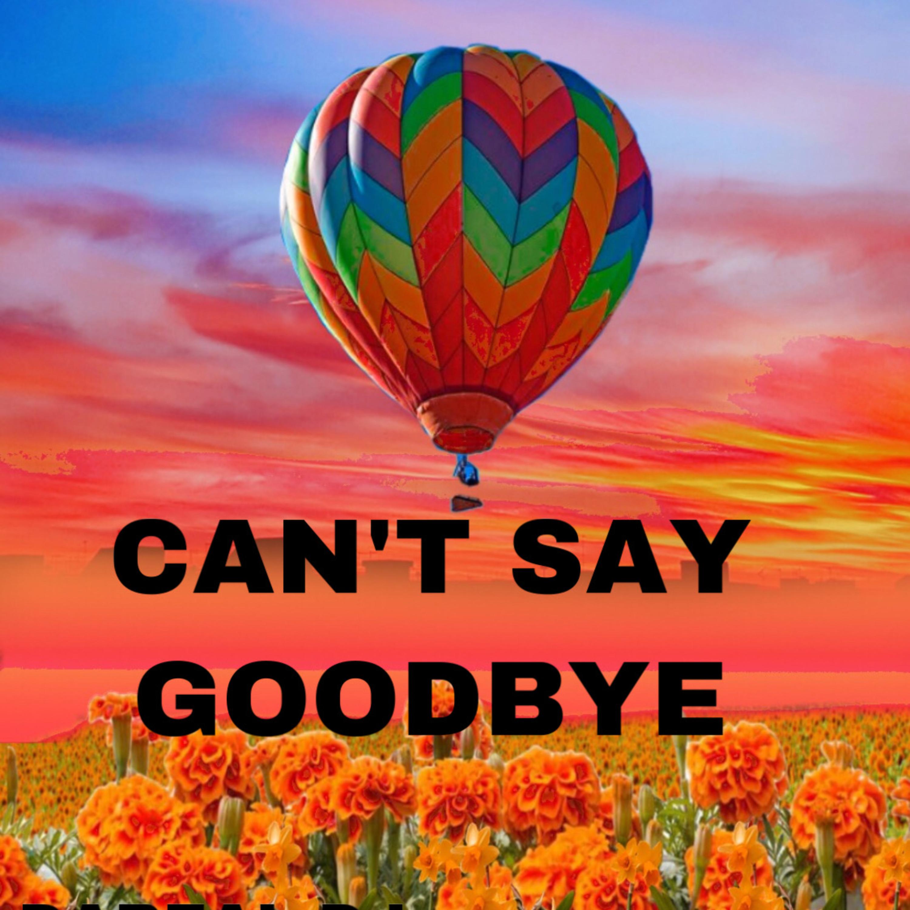 Can't Say Goodbye artwork