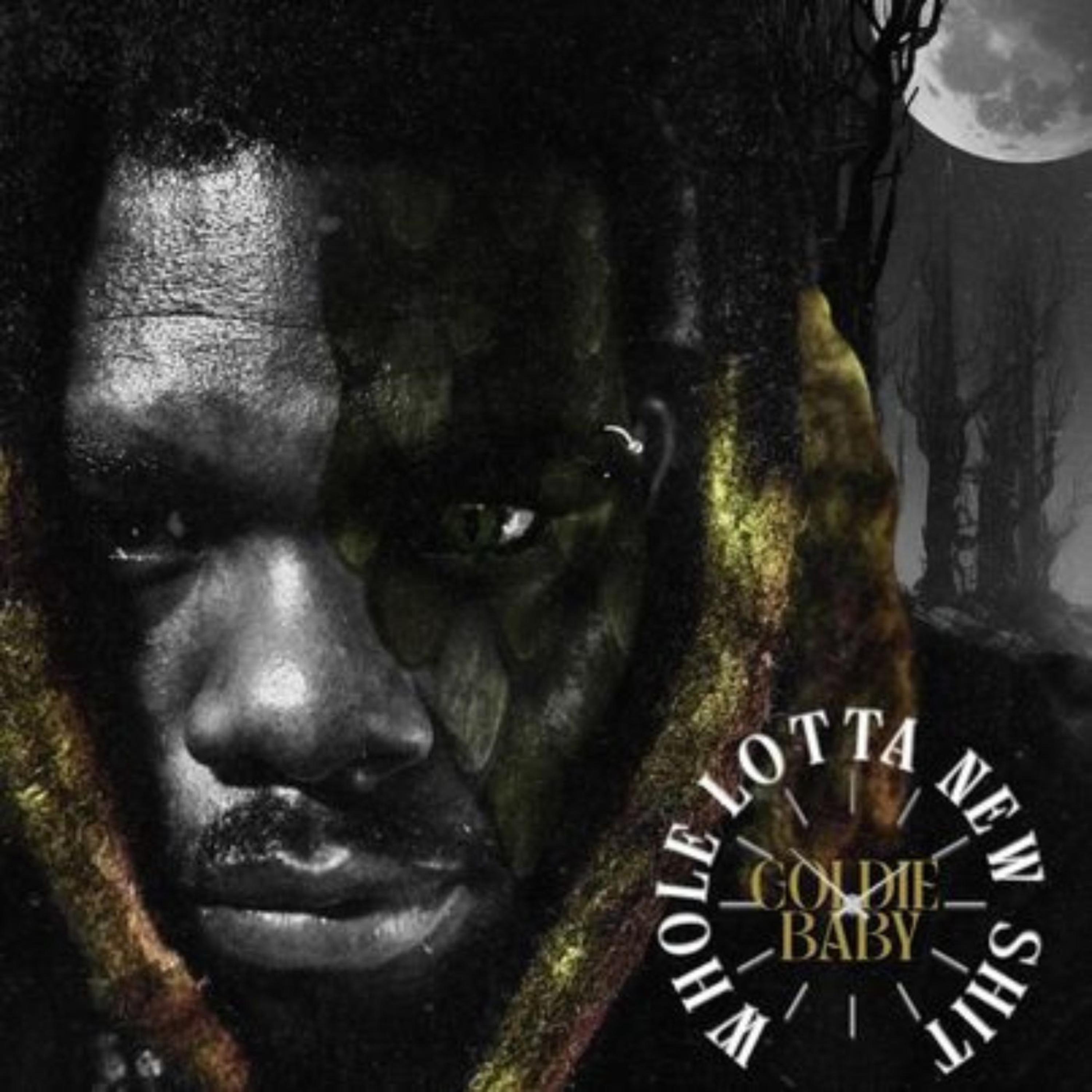 Whole Lotta New Shit artwork