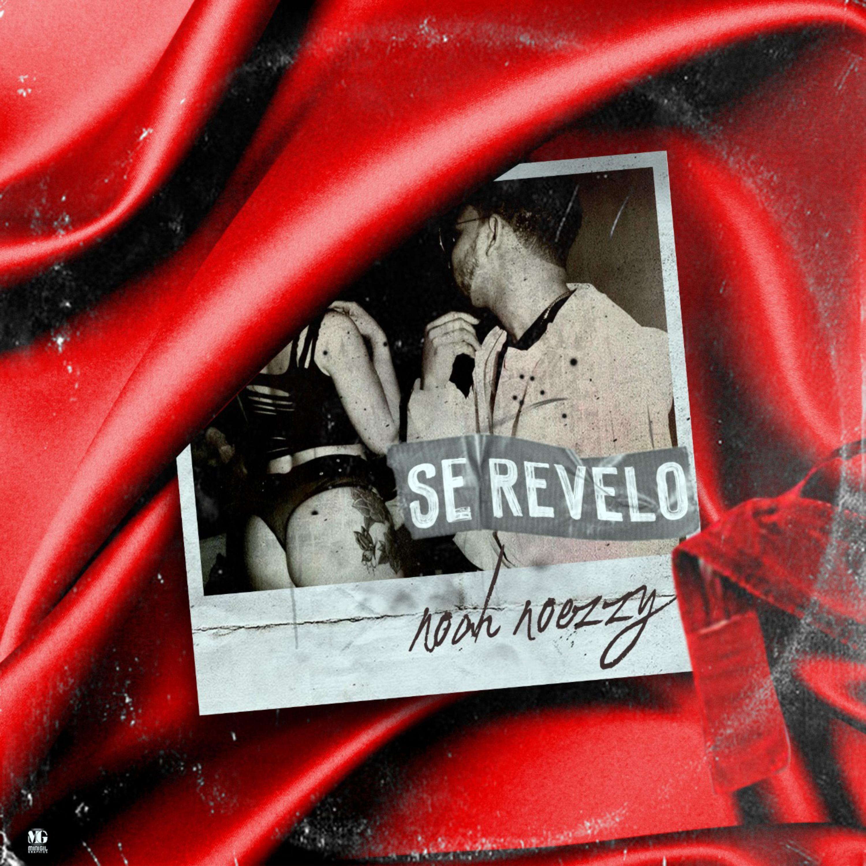 Se Revelo artwork