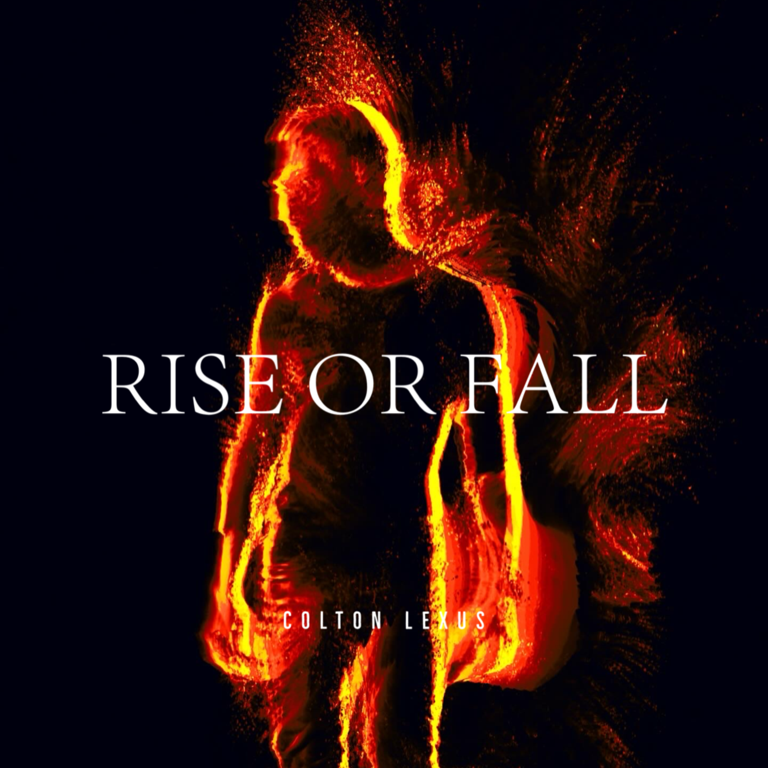 Rise or Fall artwork