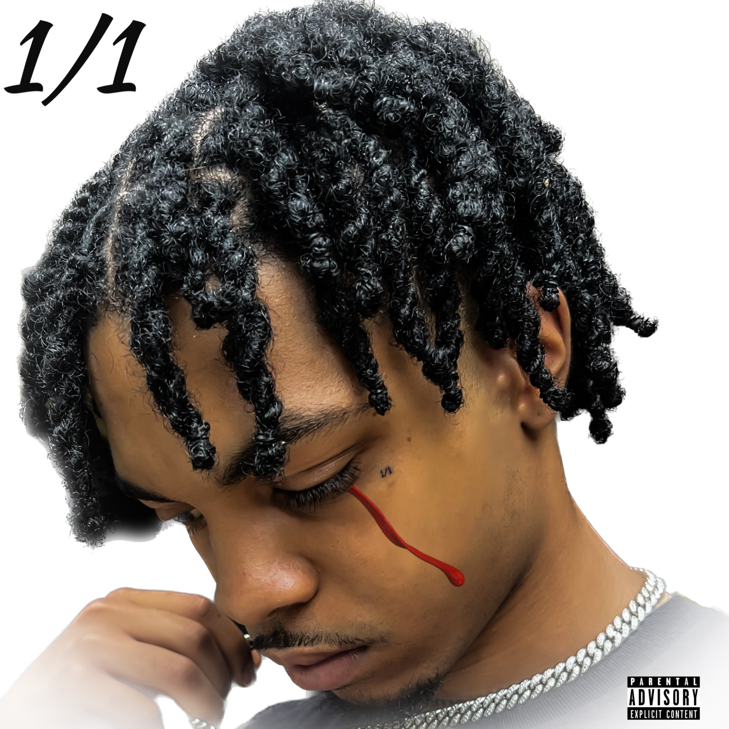 1/1 artwork