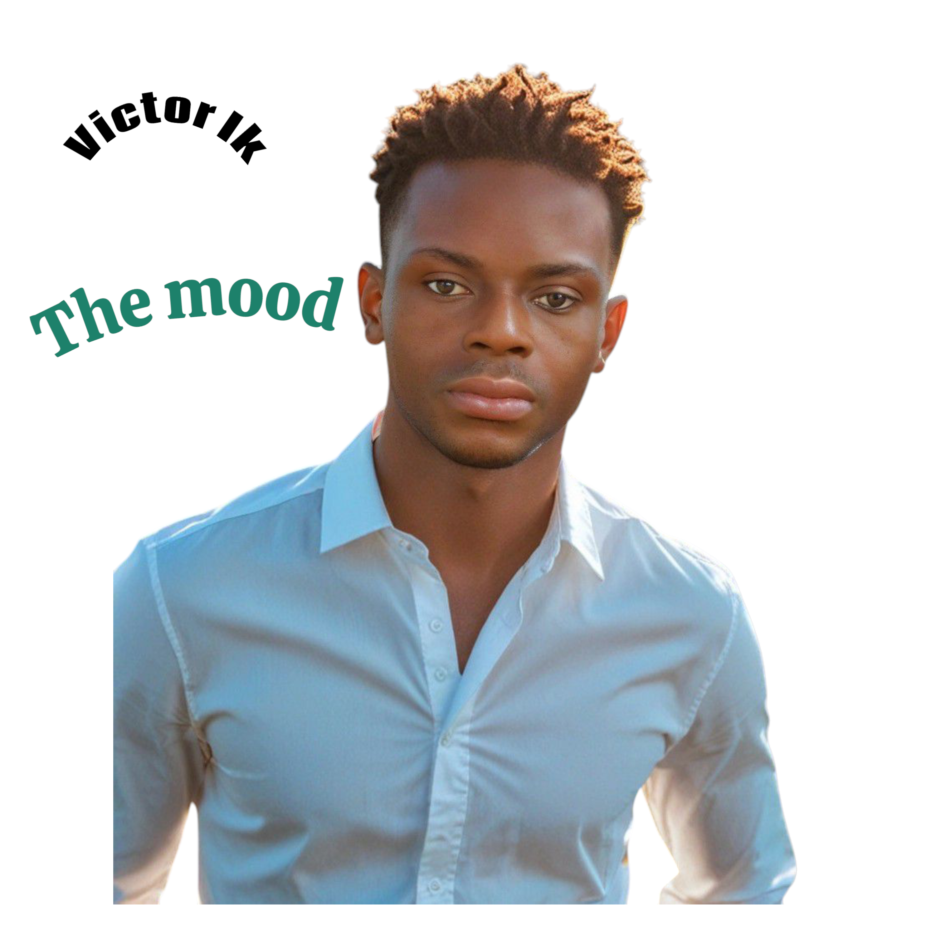 the mood artwork