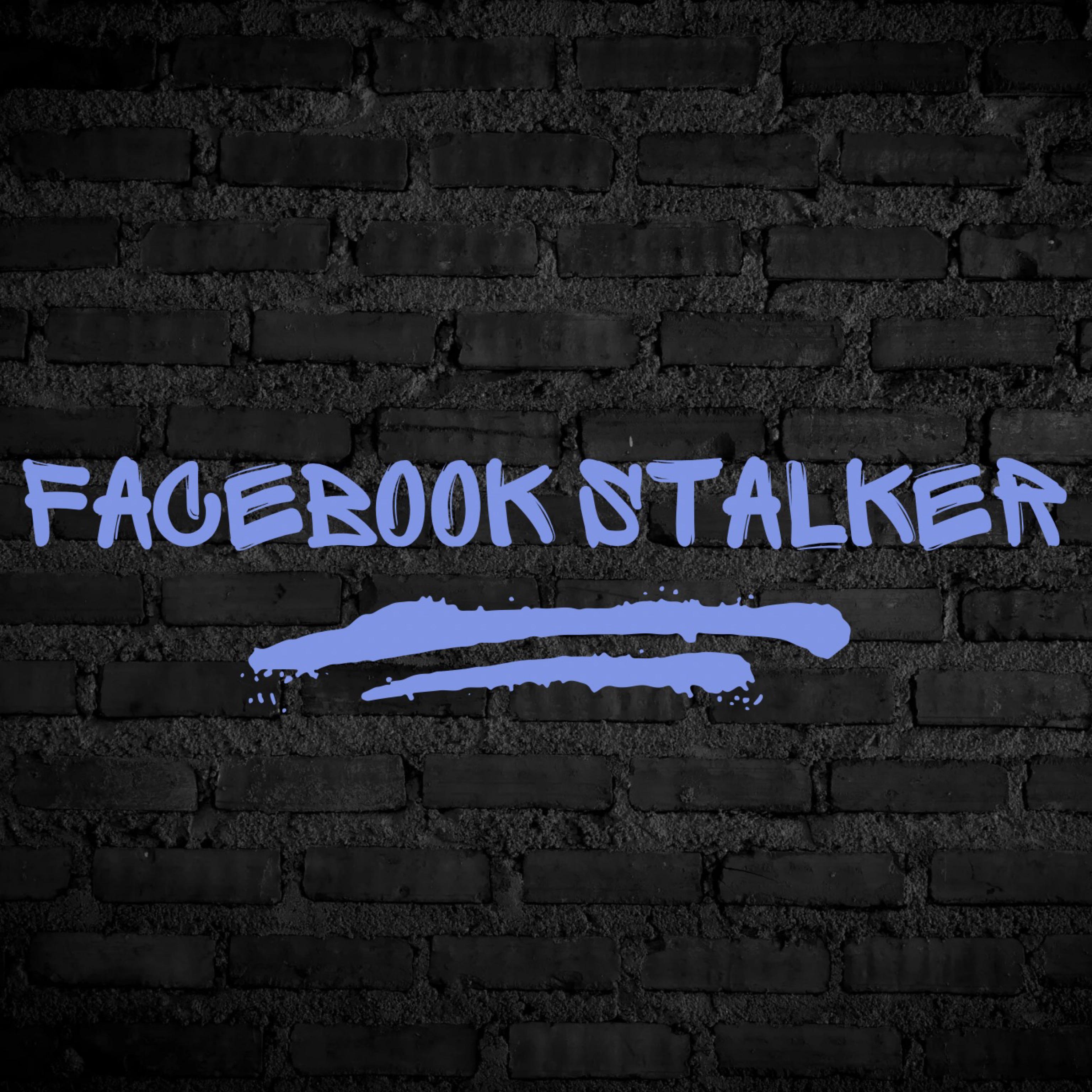 Facebook Stalker artwork