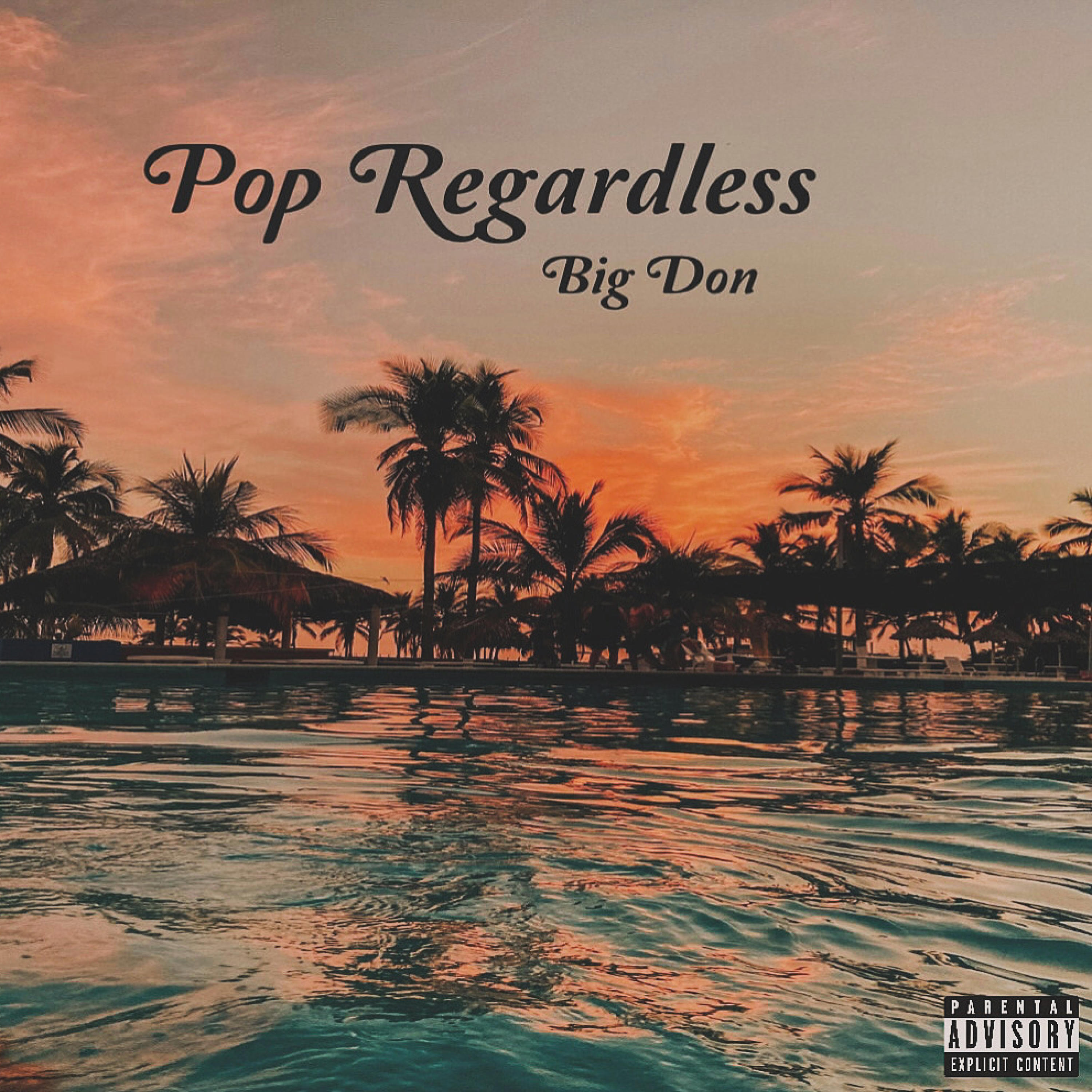 POP REGARDLESS! artwork
