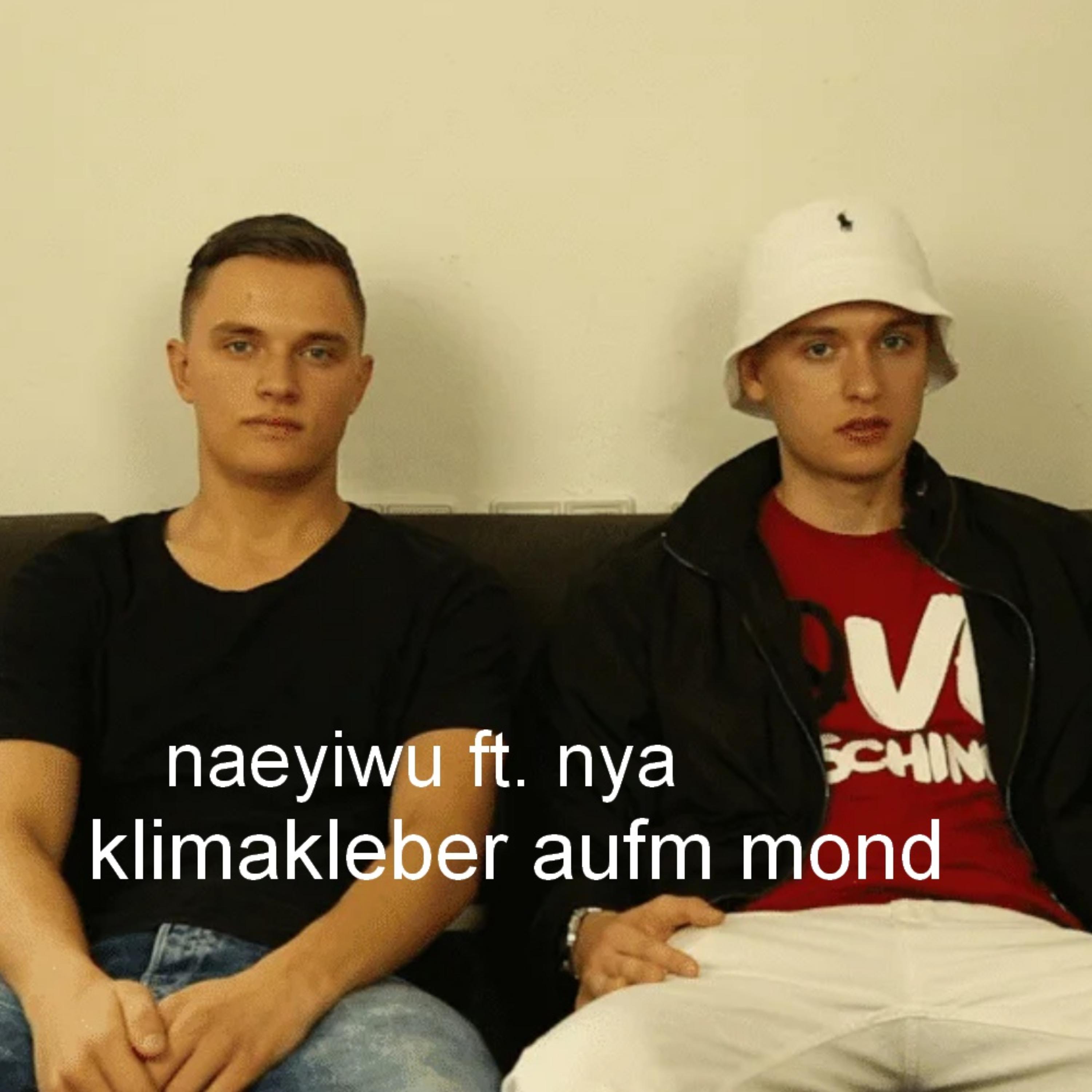 KLIMAKLEBER AUFM MOND by Naeyiwu cover art