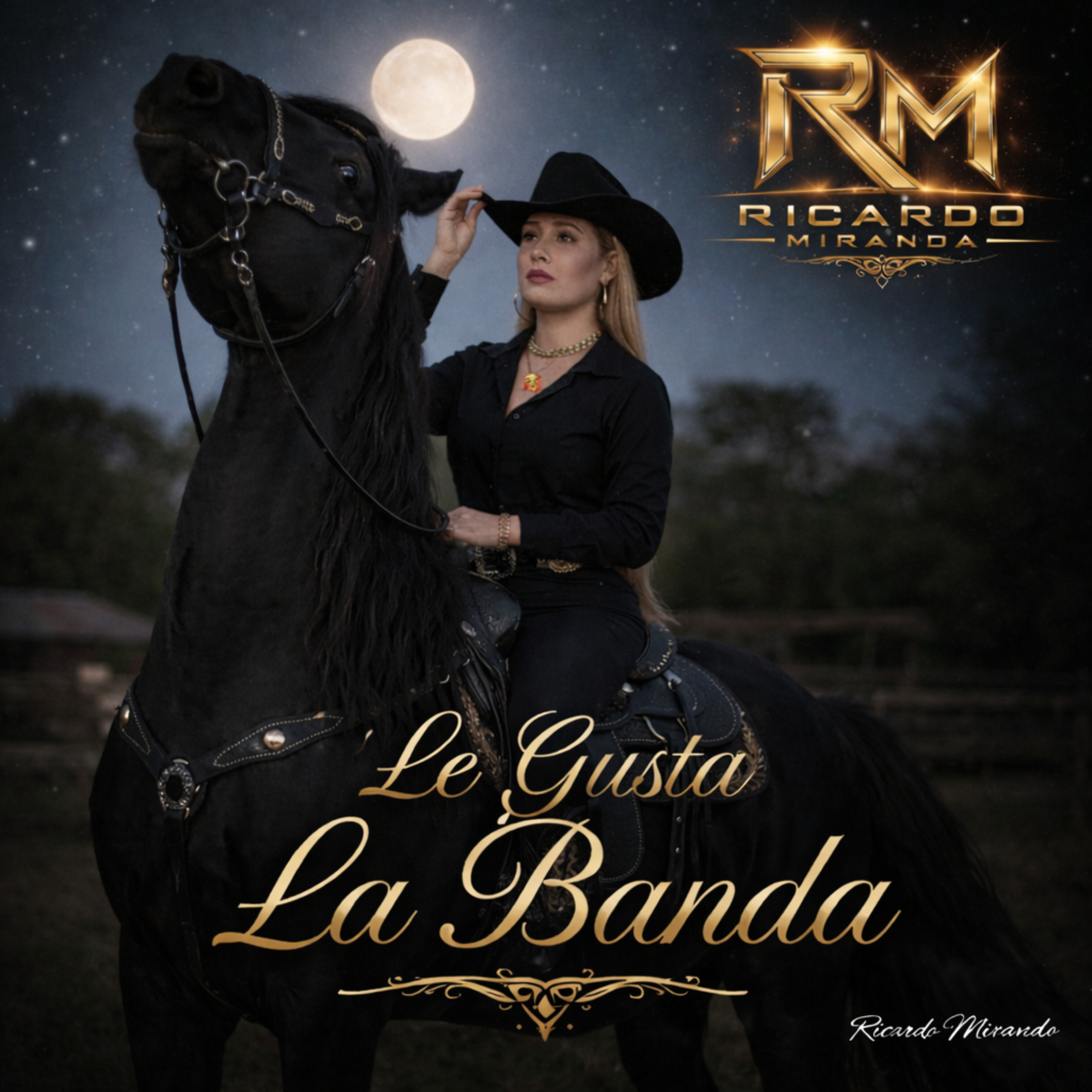 LE GUSTA LA BANDA artwork