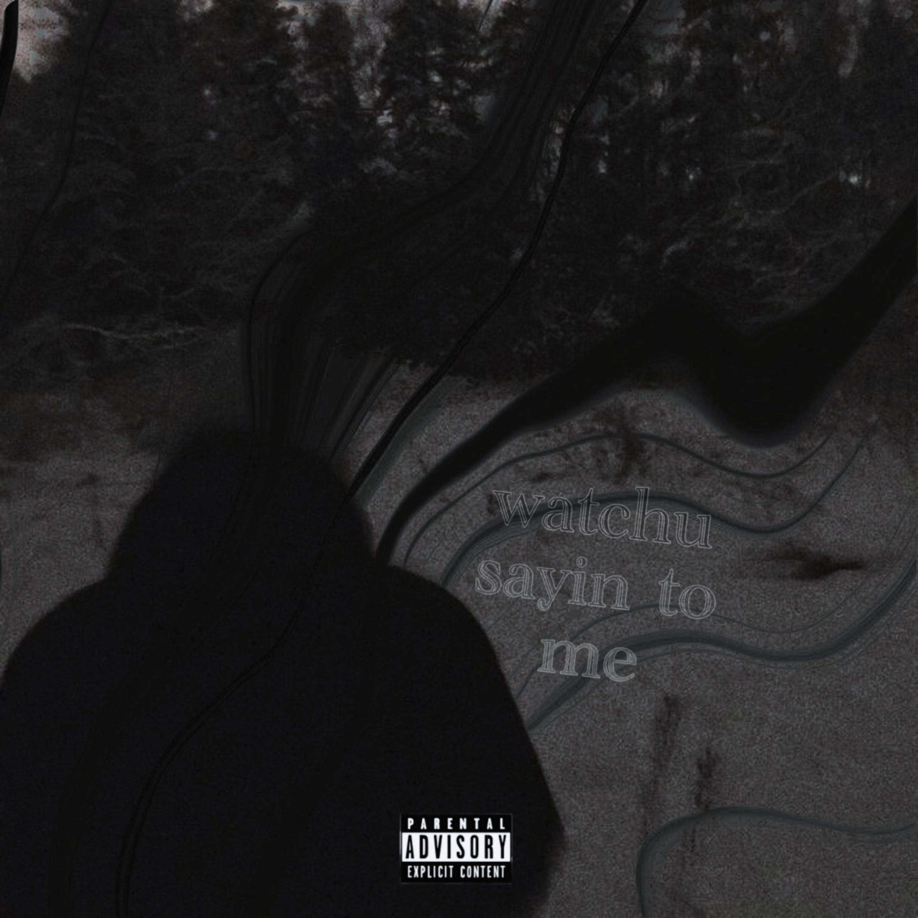 wat you sayin to me artwork