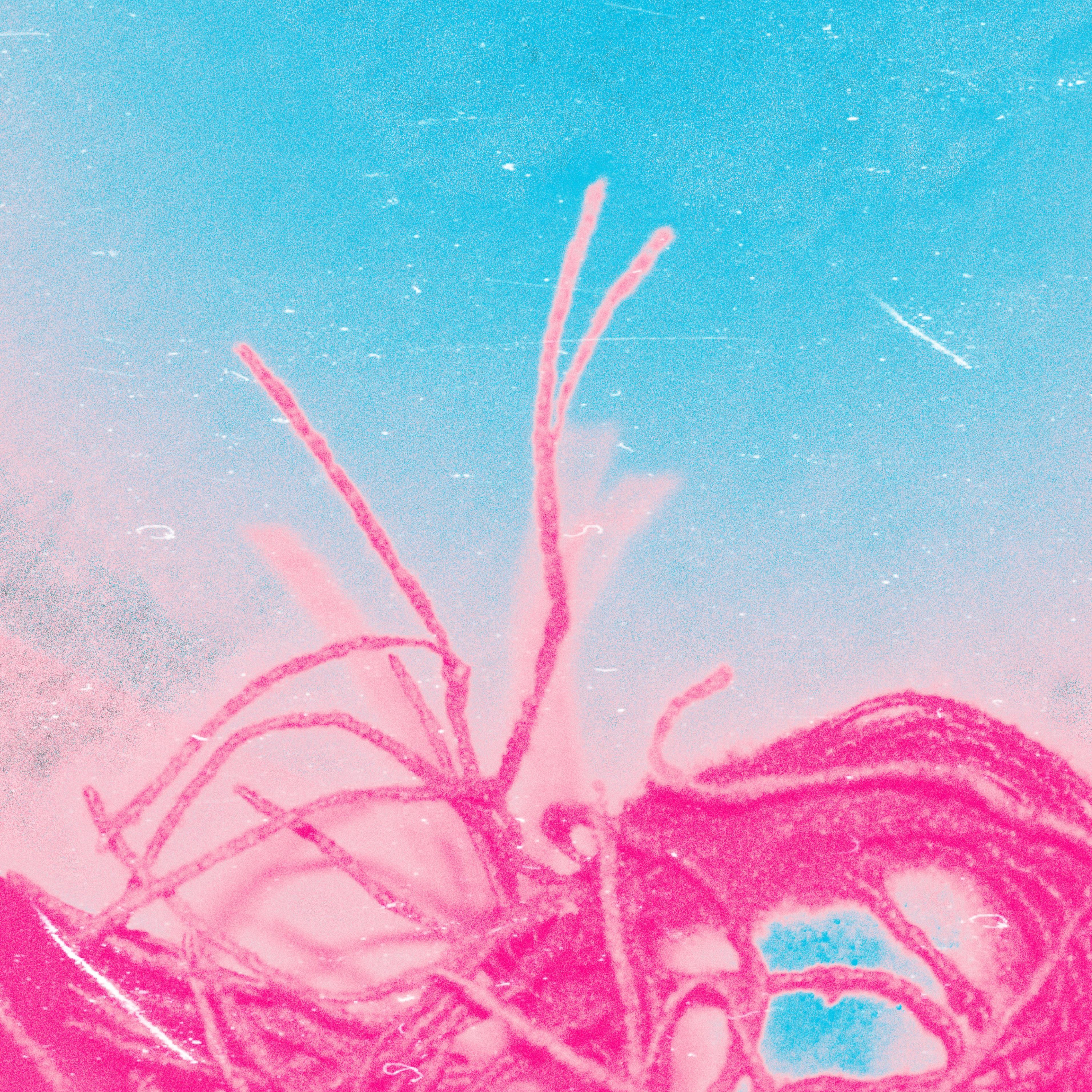 Strawberry Lemonade artwork