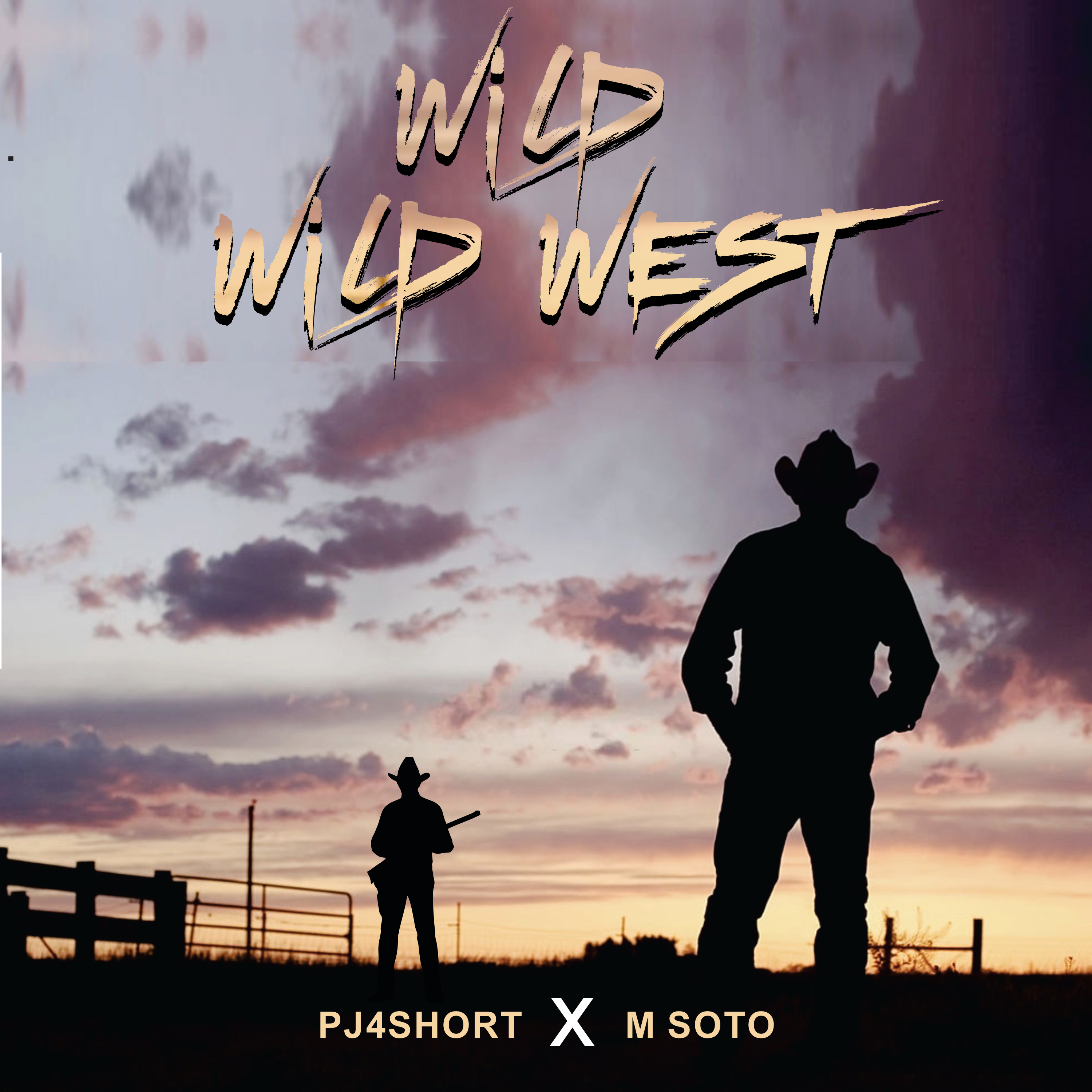 Wild Wild West artwork