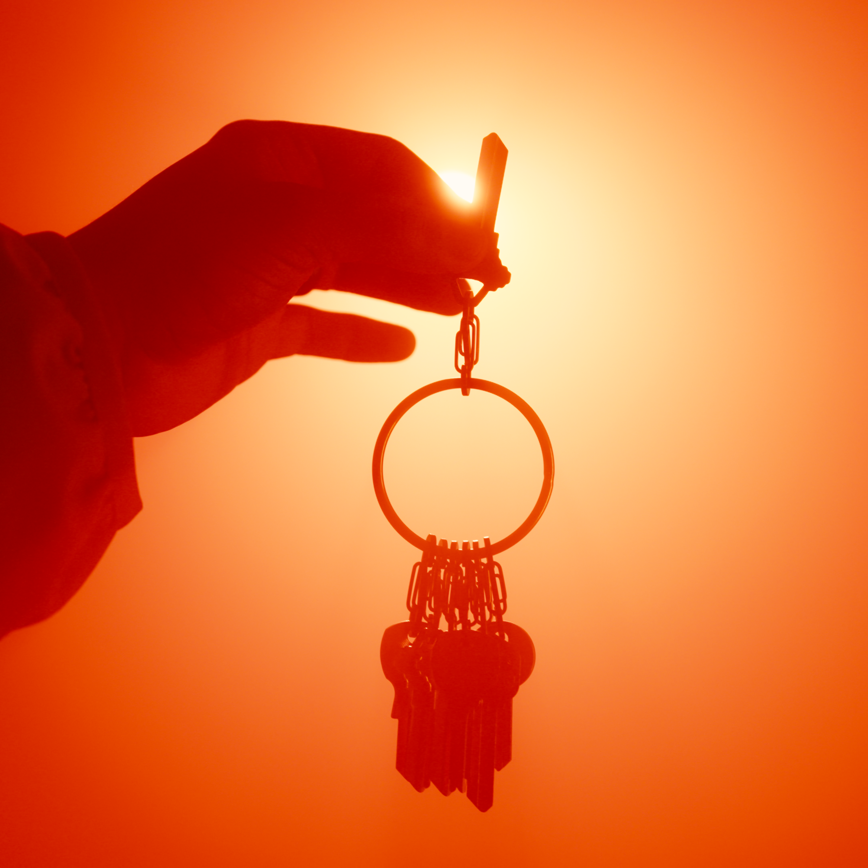 Timely - 2 pack artwork