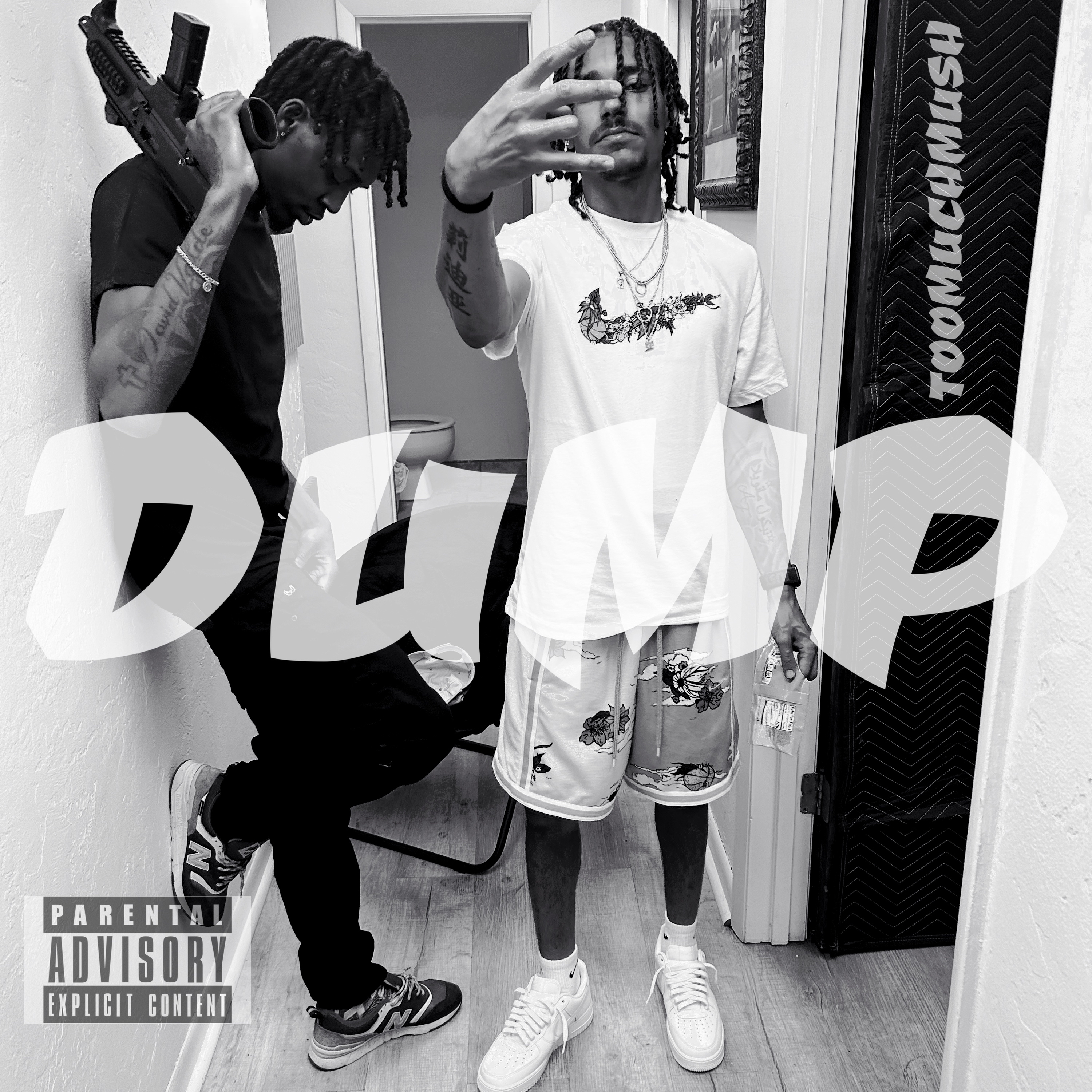 DUMP by TOOMUCHMUSH cover art