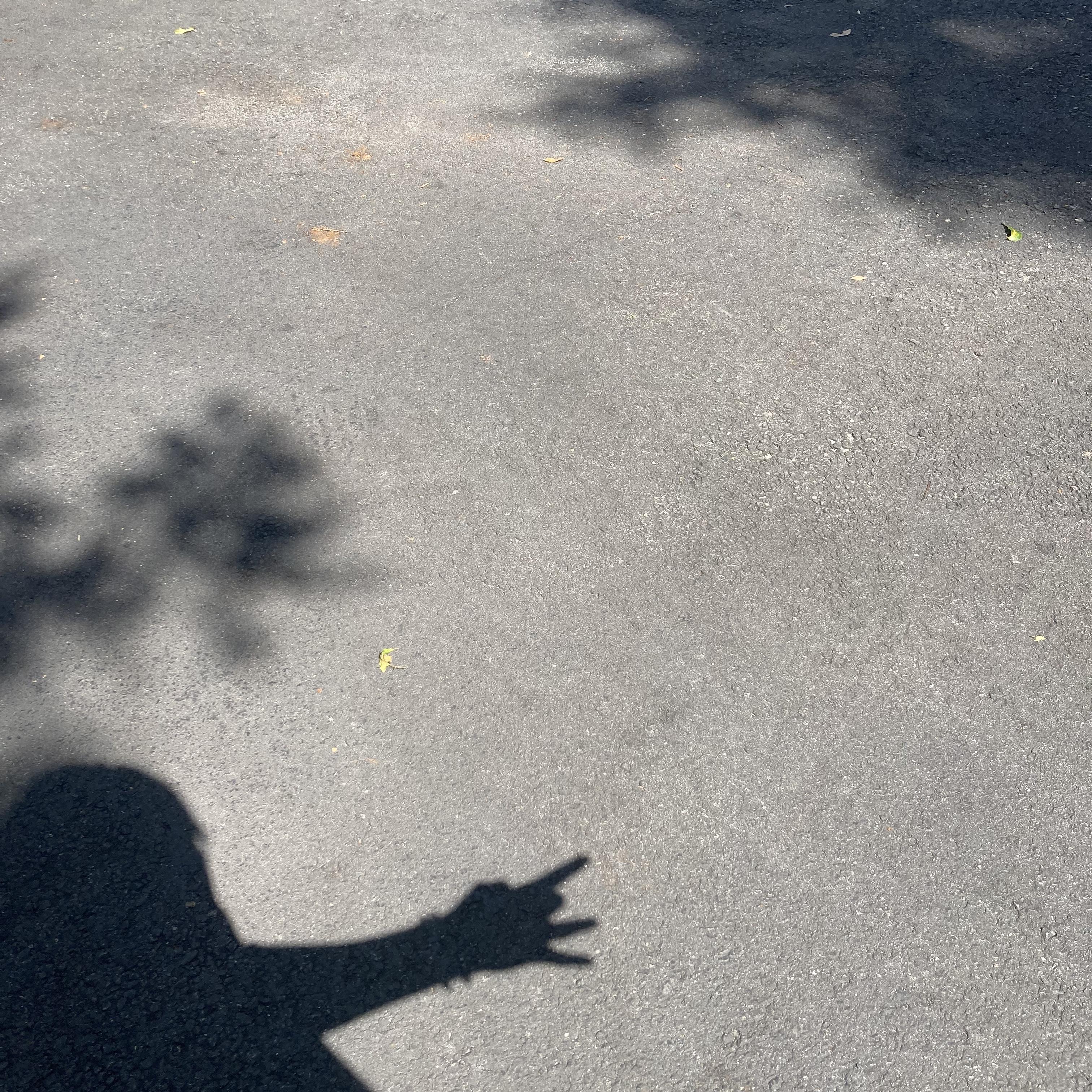 More Than Ever artwork