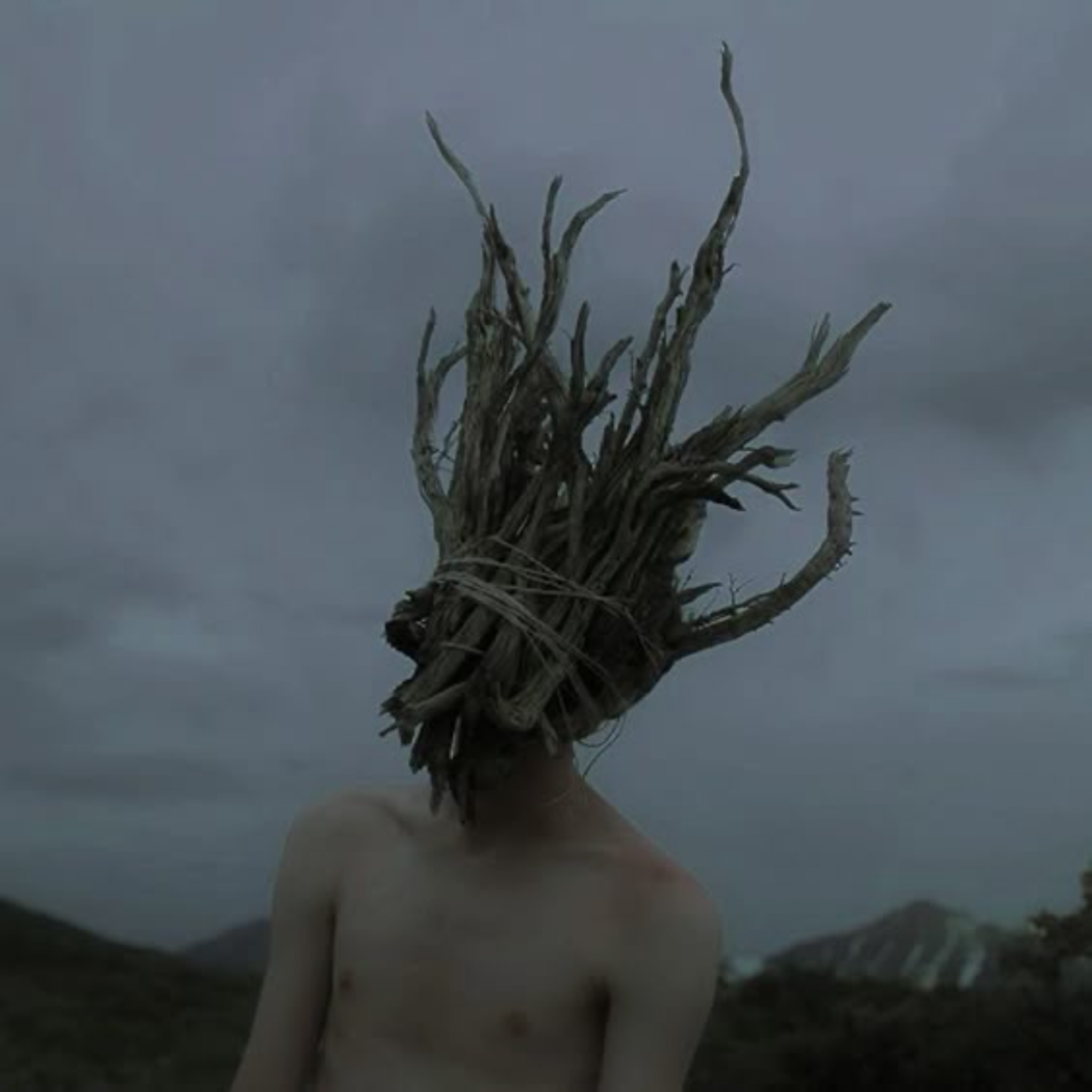 24 months left by saybabaa cover art