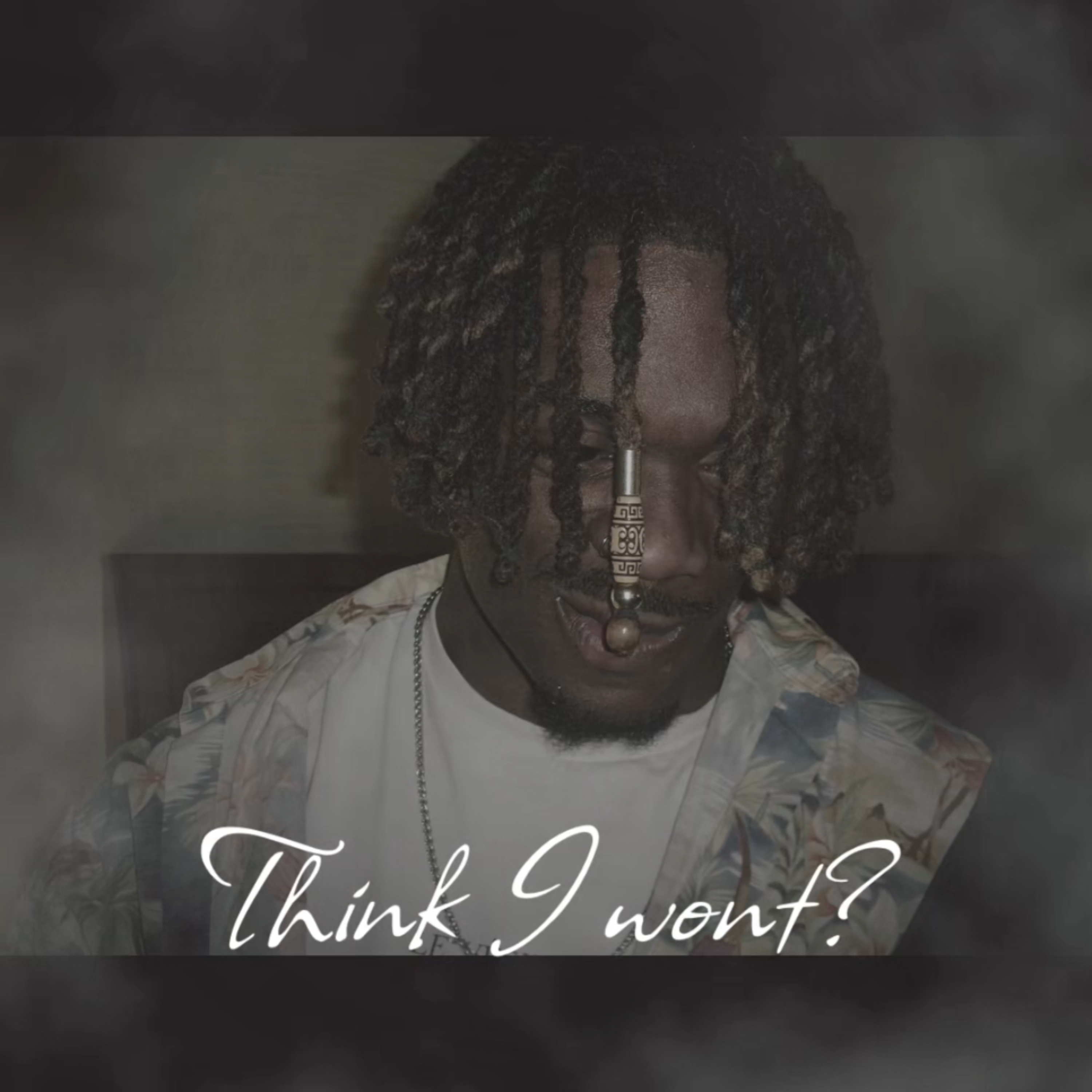 Think I Won’t? artwork